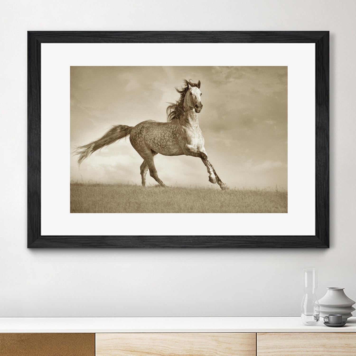 Like the Wind by Lisa Dearing on GIANT ART - multicolor photography; animals