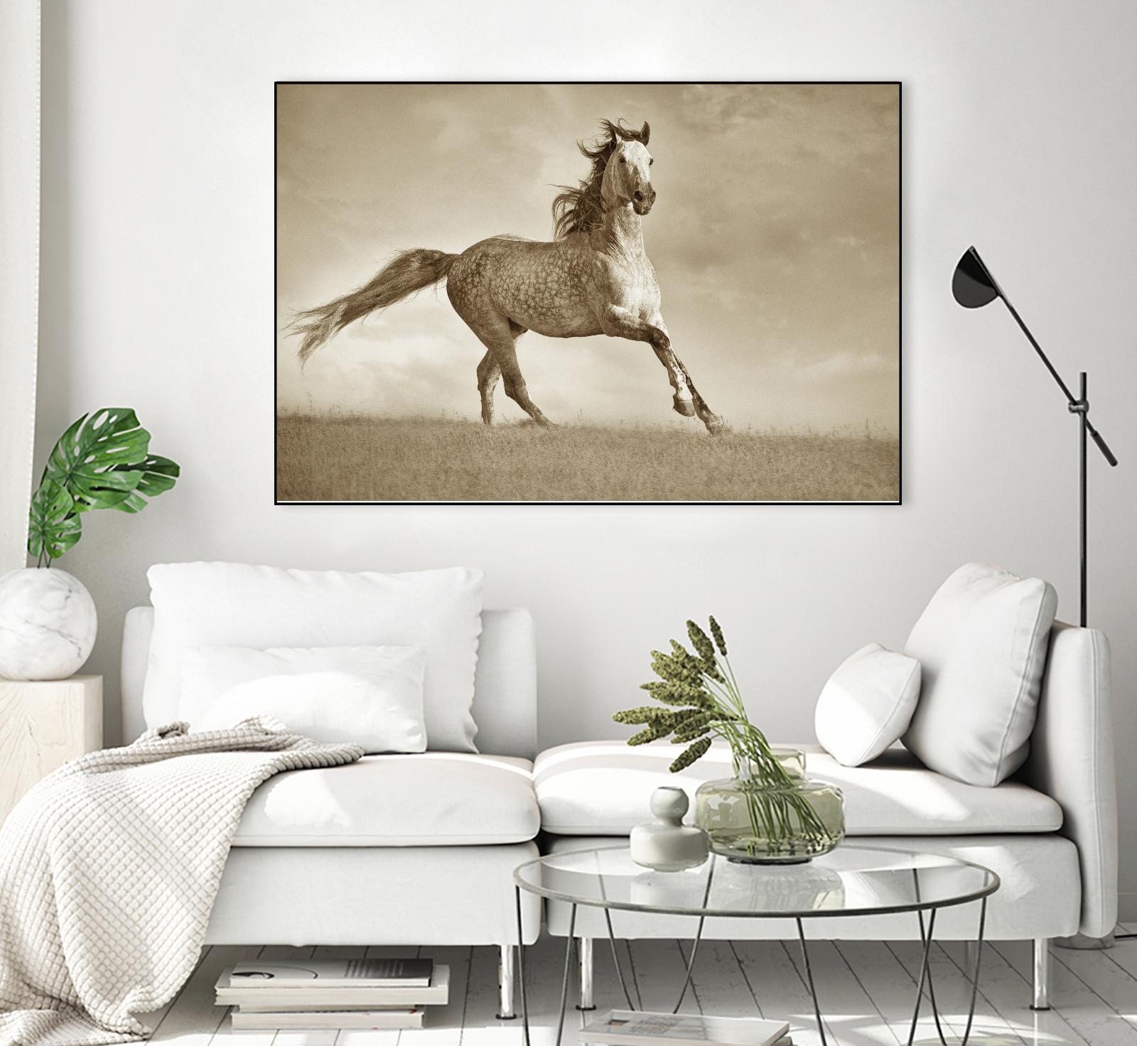 Like the Wind by Lisa Dearing on GIANT ART - multicolor photography; animals