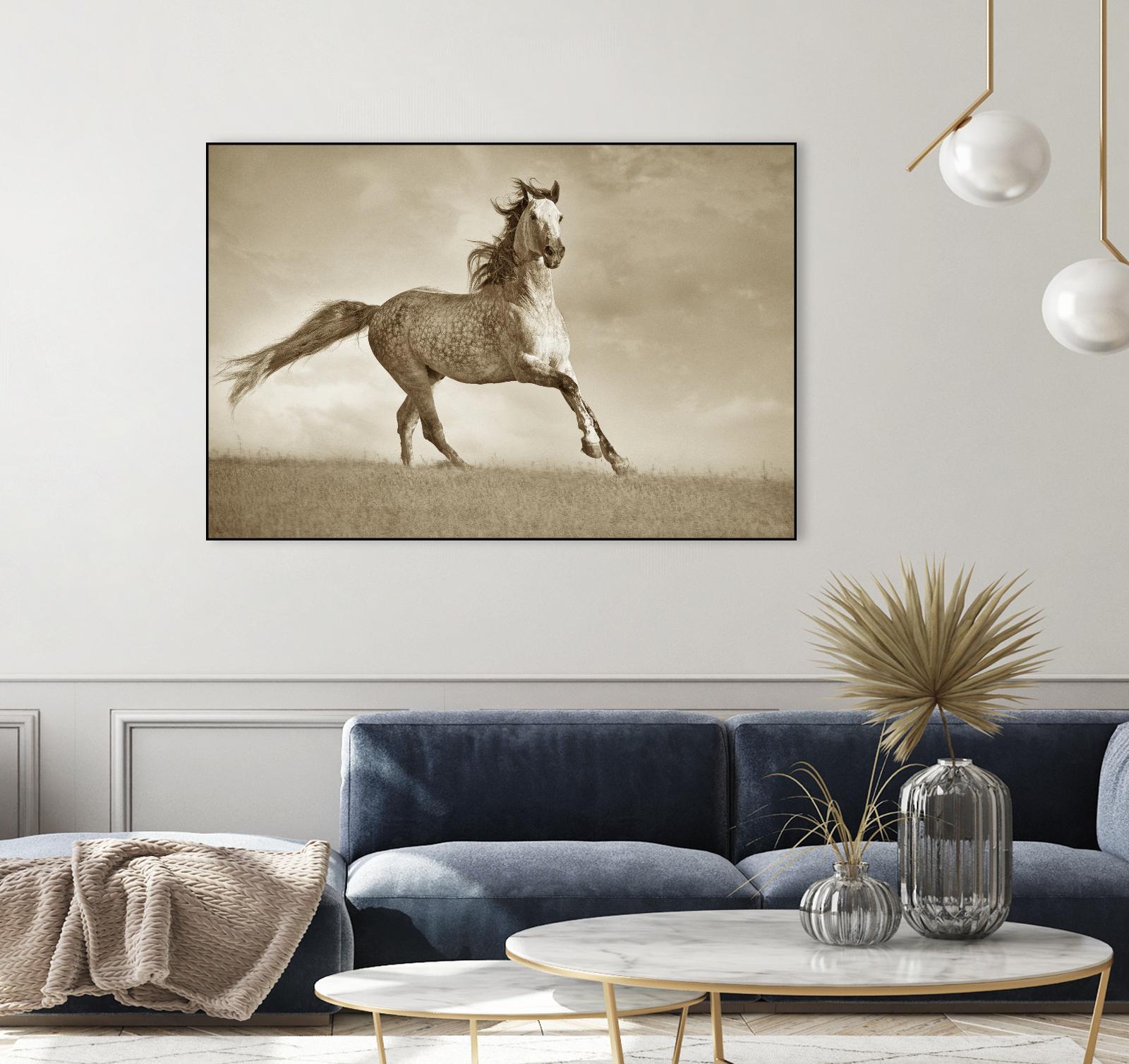 Like the Wind by Lisa Dearing on GIANT ART - multicolor photography; animals