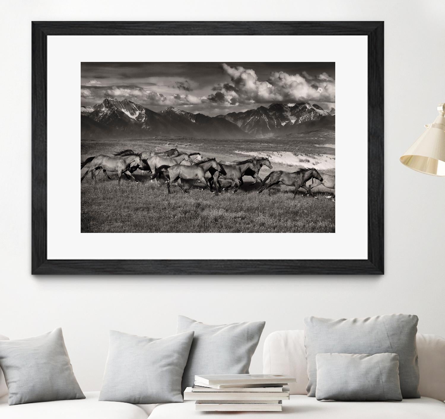 Mountain Range Mavericks by Lisa Dearing on GIANT ART - multicolor photography; animals