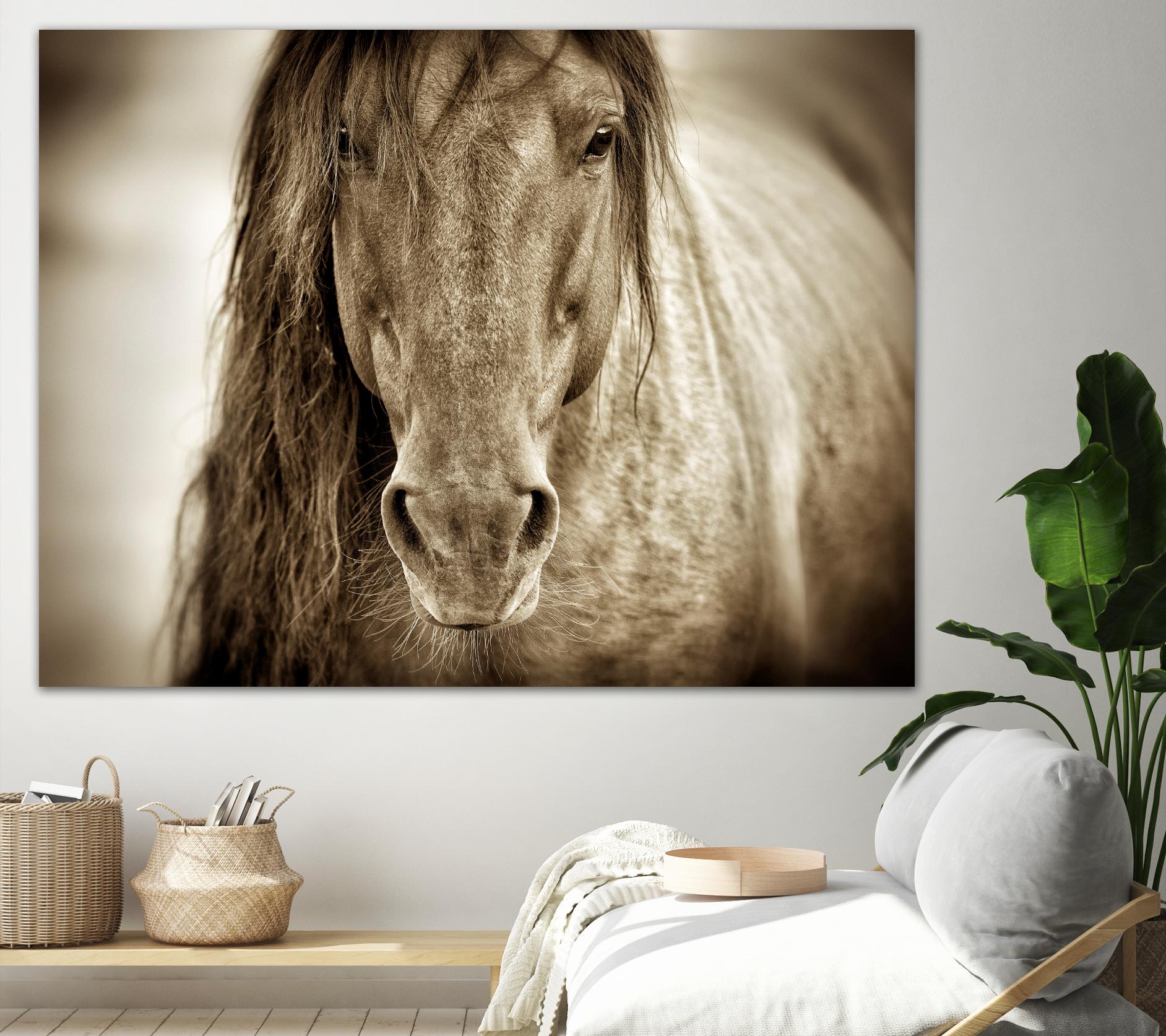 Mustang Sally by Lisa Dearing on GIANT ART - multicolor photography; animals