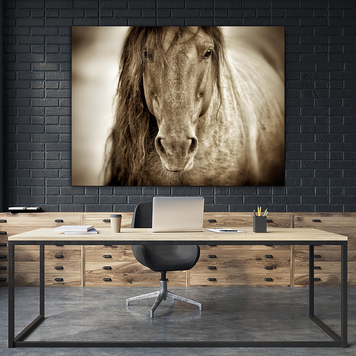 Mustang Sally by Lisa Dearing on GIANT ART - multicolor photography; animals