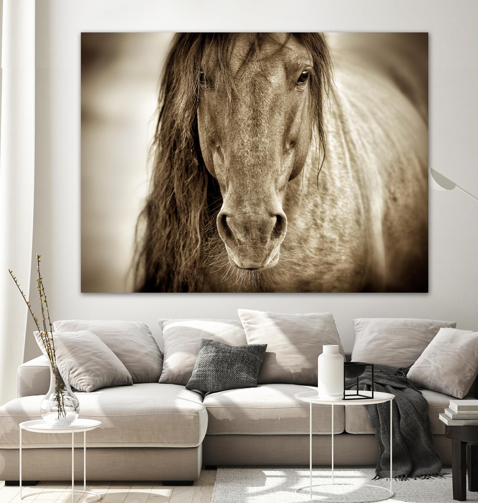 Mustang Sally by Lisa Dearing on GIANT ART - multicolor photography; animals