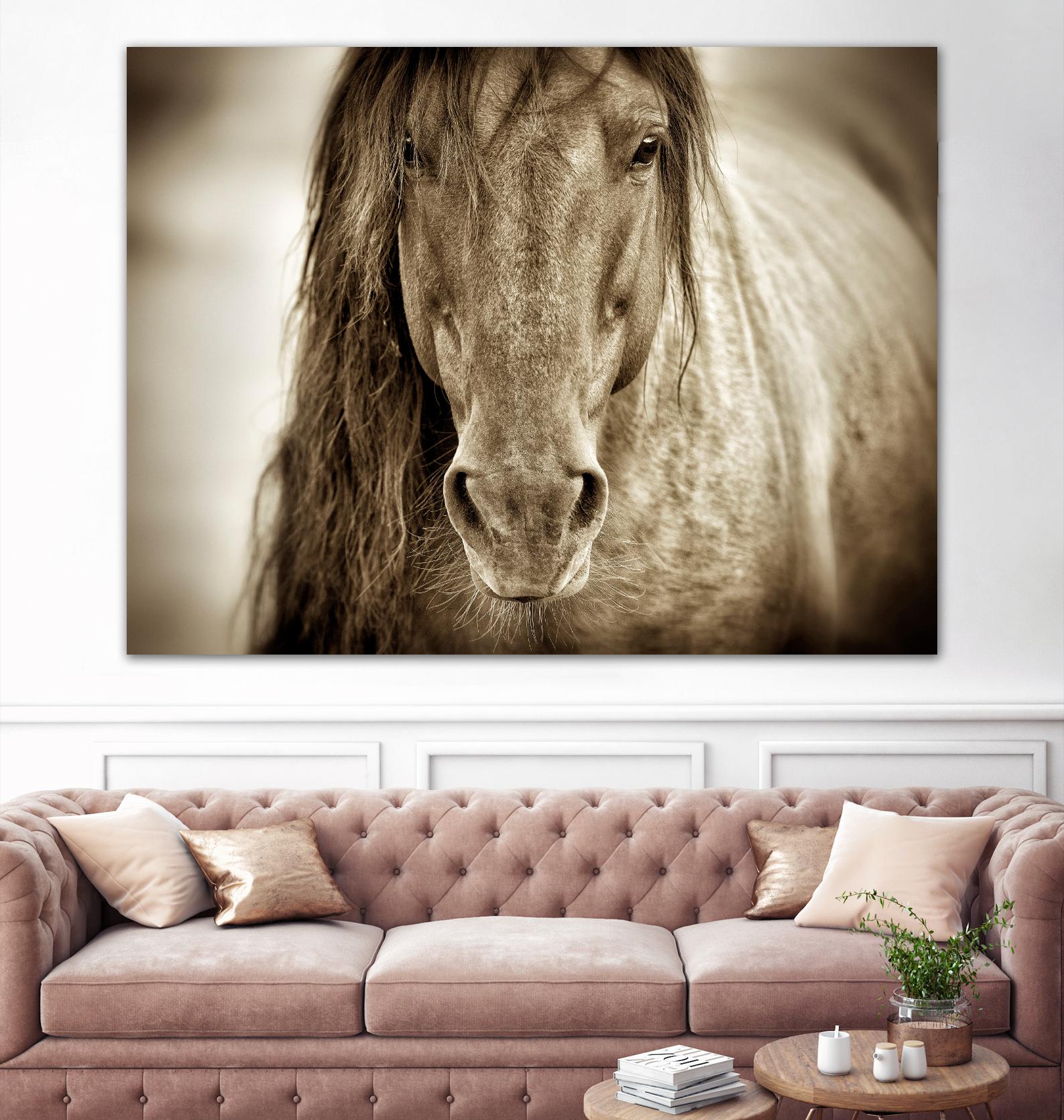Mustang Sally by Lisa Dearing on GIANT ART - multicolor photography; animals