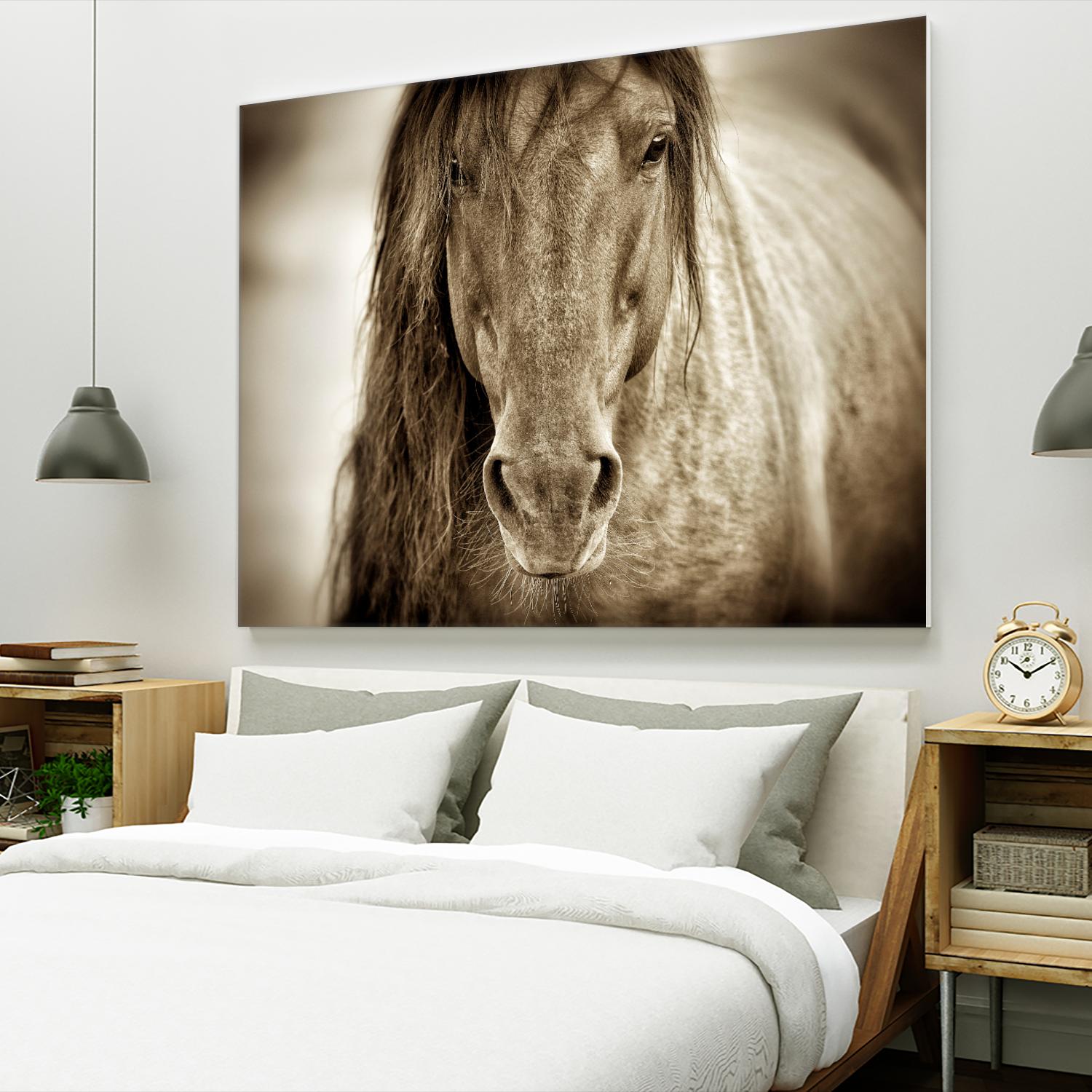 Mustang Sally by Lisa Dearing on GIANT ART - multicolor photography; animals