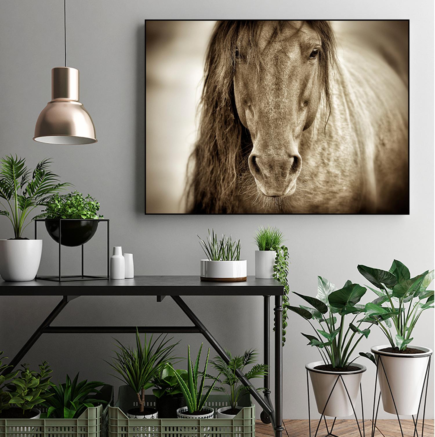 Mustang Sally by Lisa Dearing on GIANT ART - multicolor photography; animals
