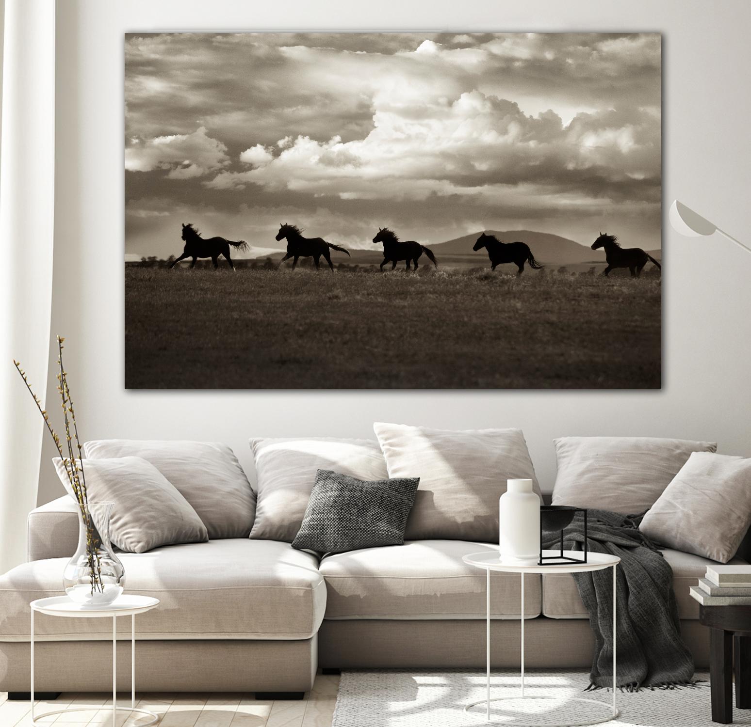 Racing the Clouds by Lisa Dearing on GIANT ART - multicolor photography; animals