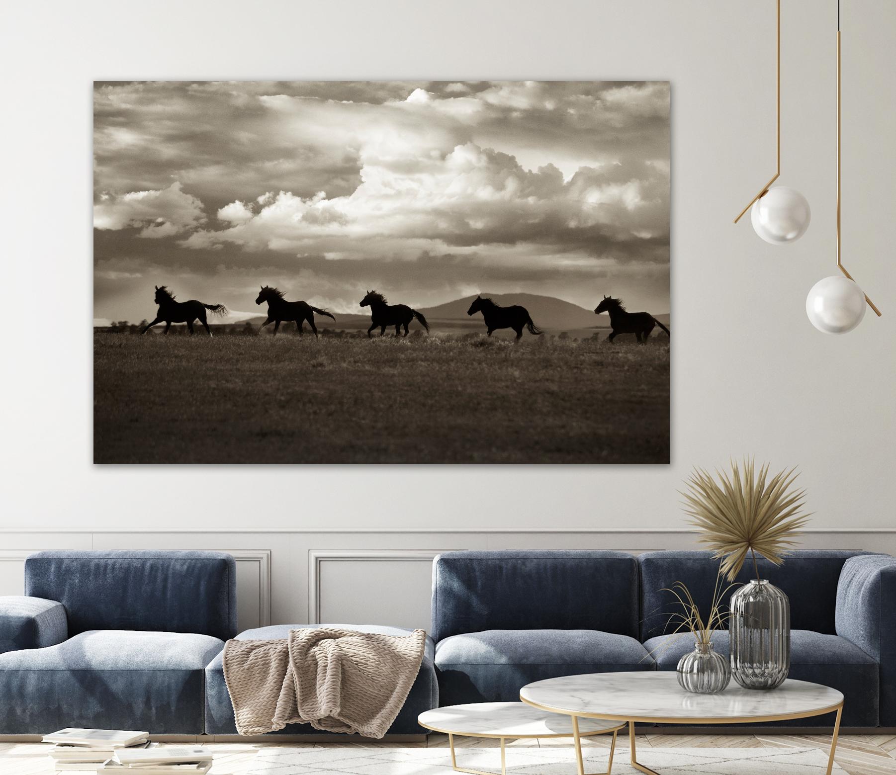Racing the Clouds by Lisa Dearing on GIANT ART - multicolor photography; animals