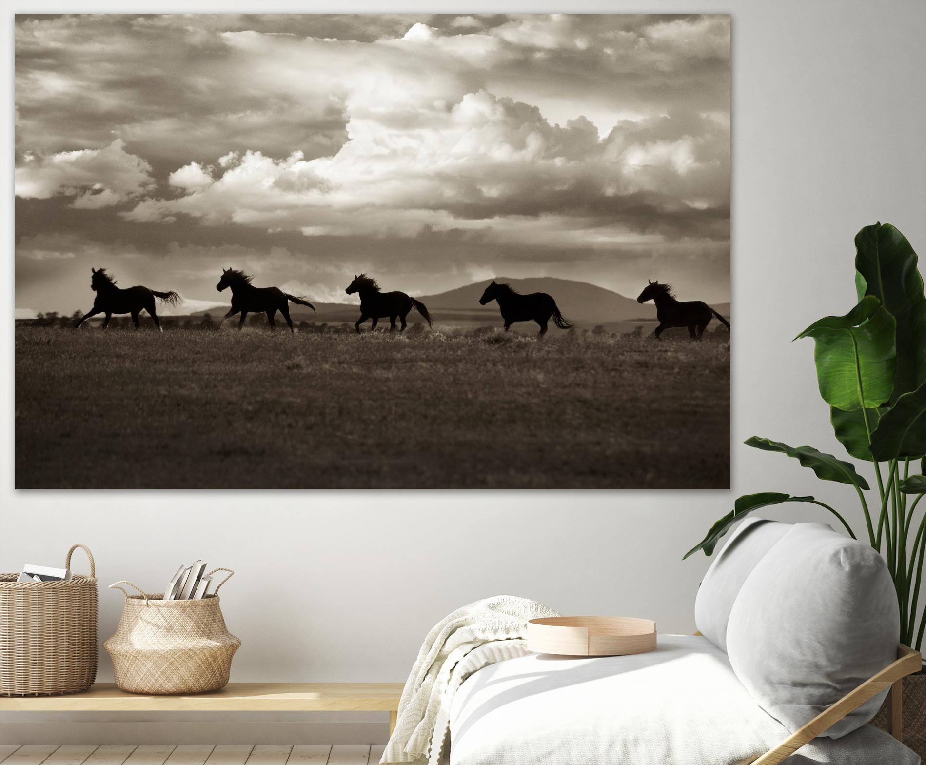 Racing the Clouds by Lisa Dearing on GIANT ART - multicolor photography; animals