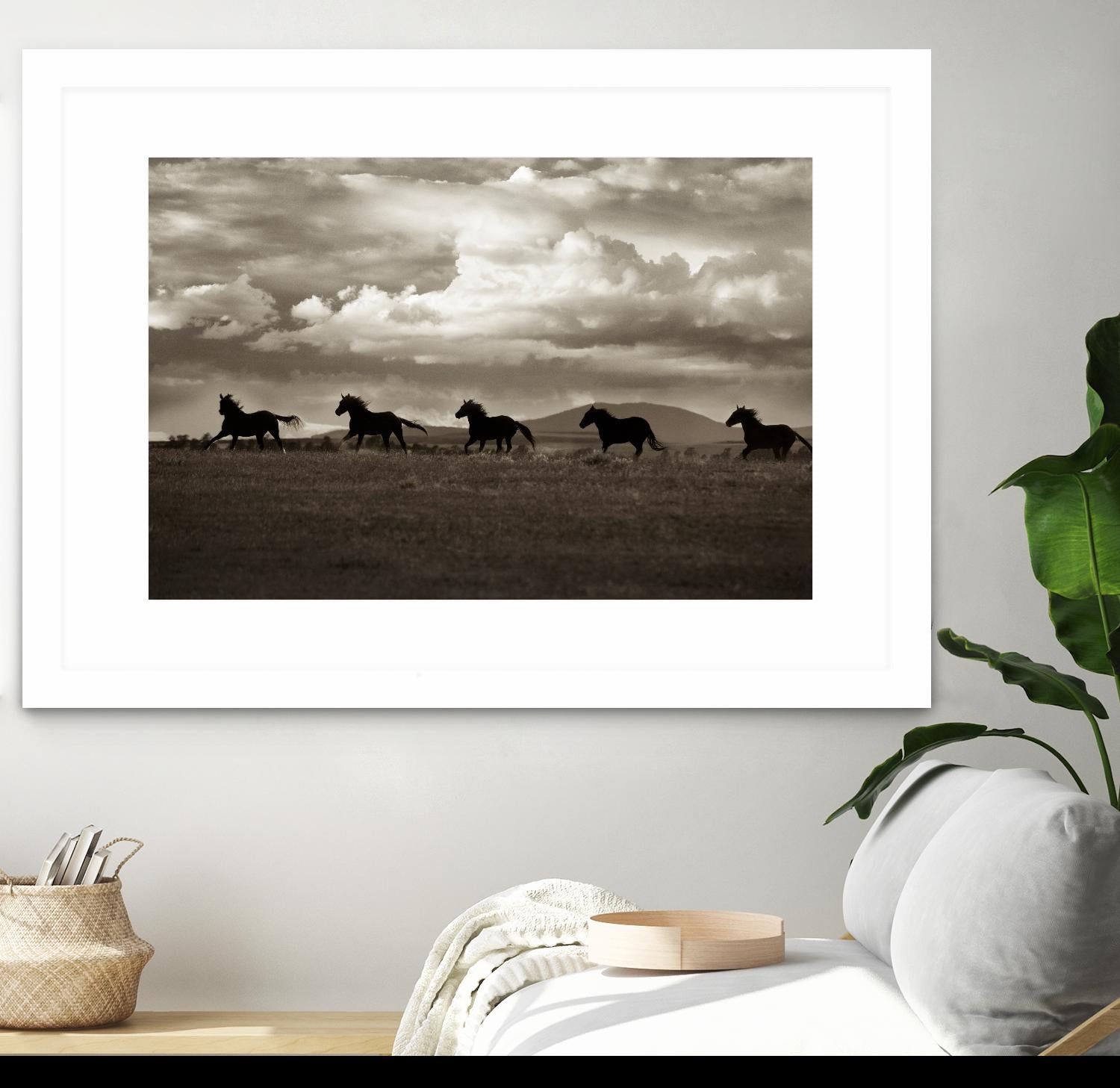 Racing the Clouds by Lisa Dearing on GIANT ART - multicolor photography; animals