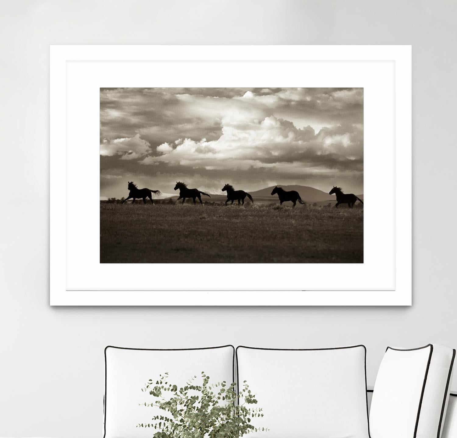 Racing the Clouds by Lisa Dearing on GIANT ART - multicolor photography; animals