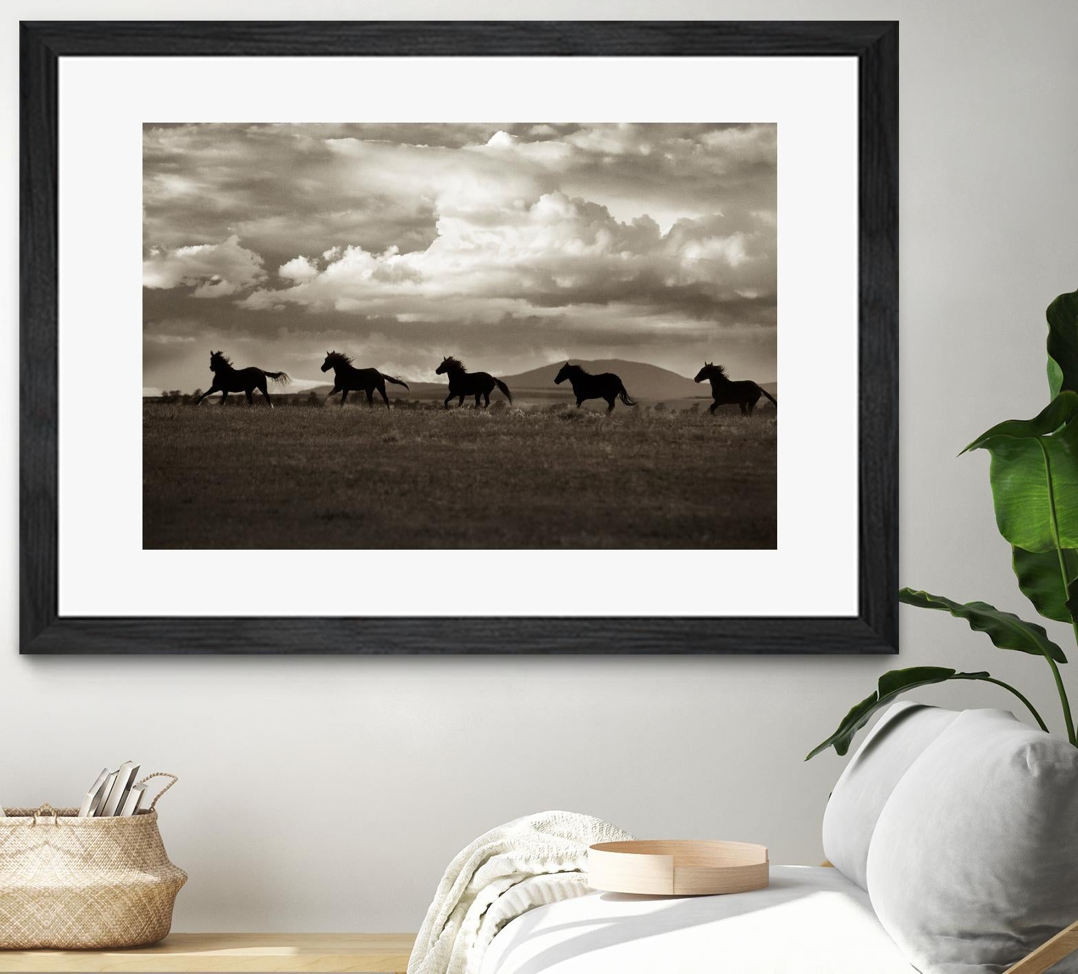 Racing the Clouds by Lisa Dearing on GIANT ART - multicolor photography; animals