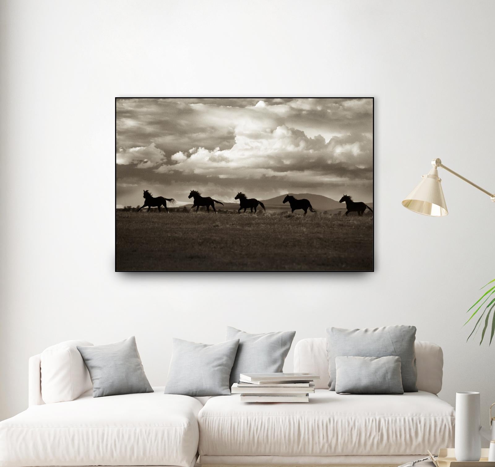 Racing the Clouds by Lisa Dearing on GIANT ART - multicolor photography; animals