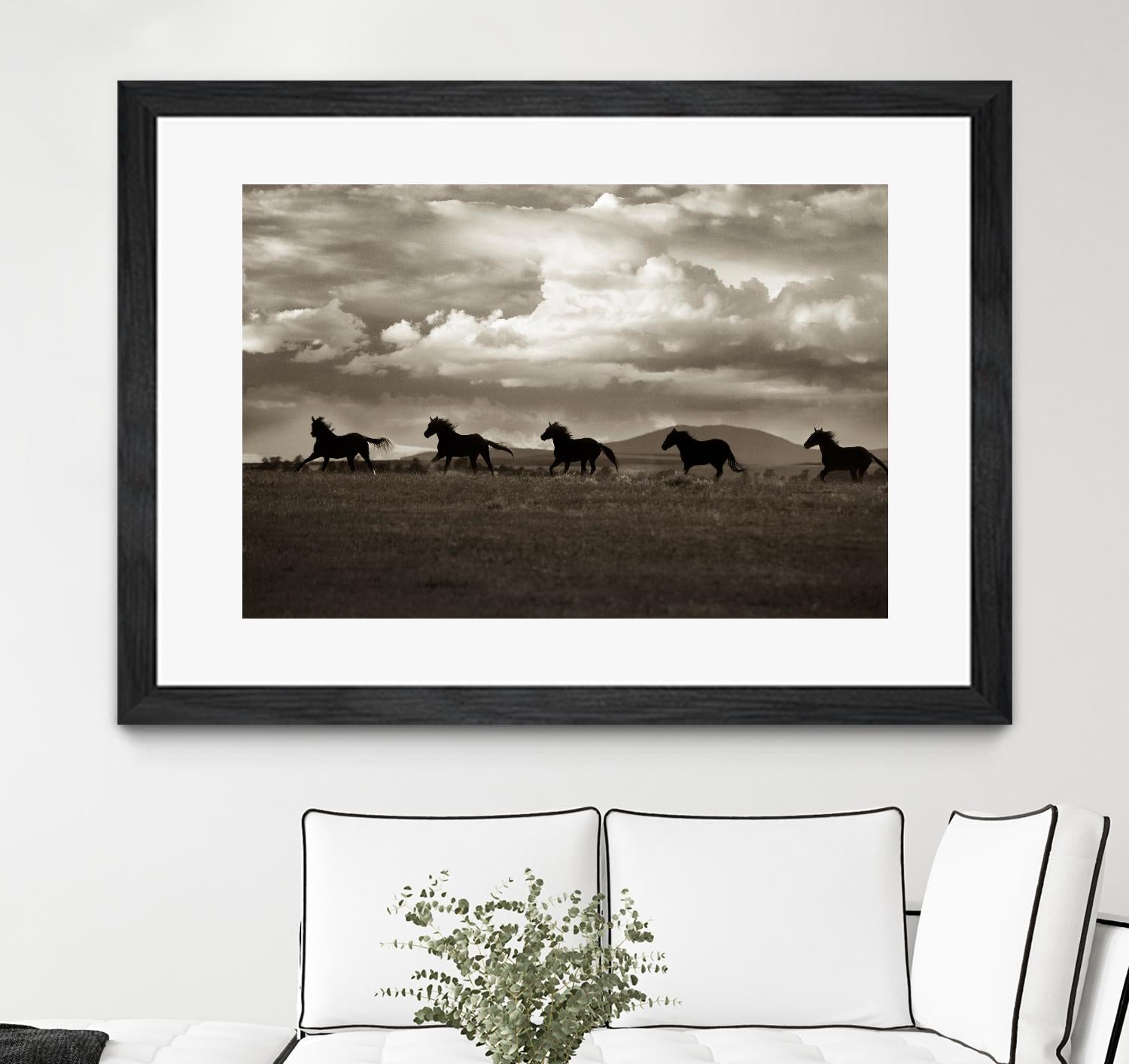 Racing the Clouds by Lisa Dearing on GIANT ART - multicolor photography; animals