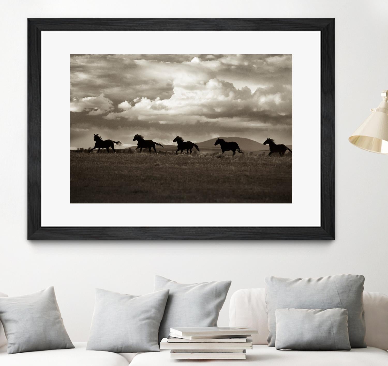 Racing the Clouds by Lisa Dearing on GIANT ART - multicolor photography; animals