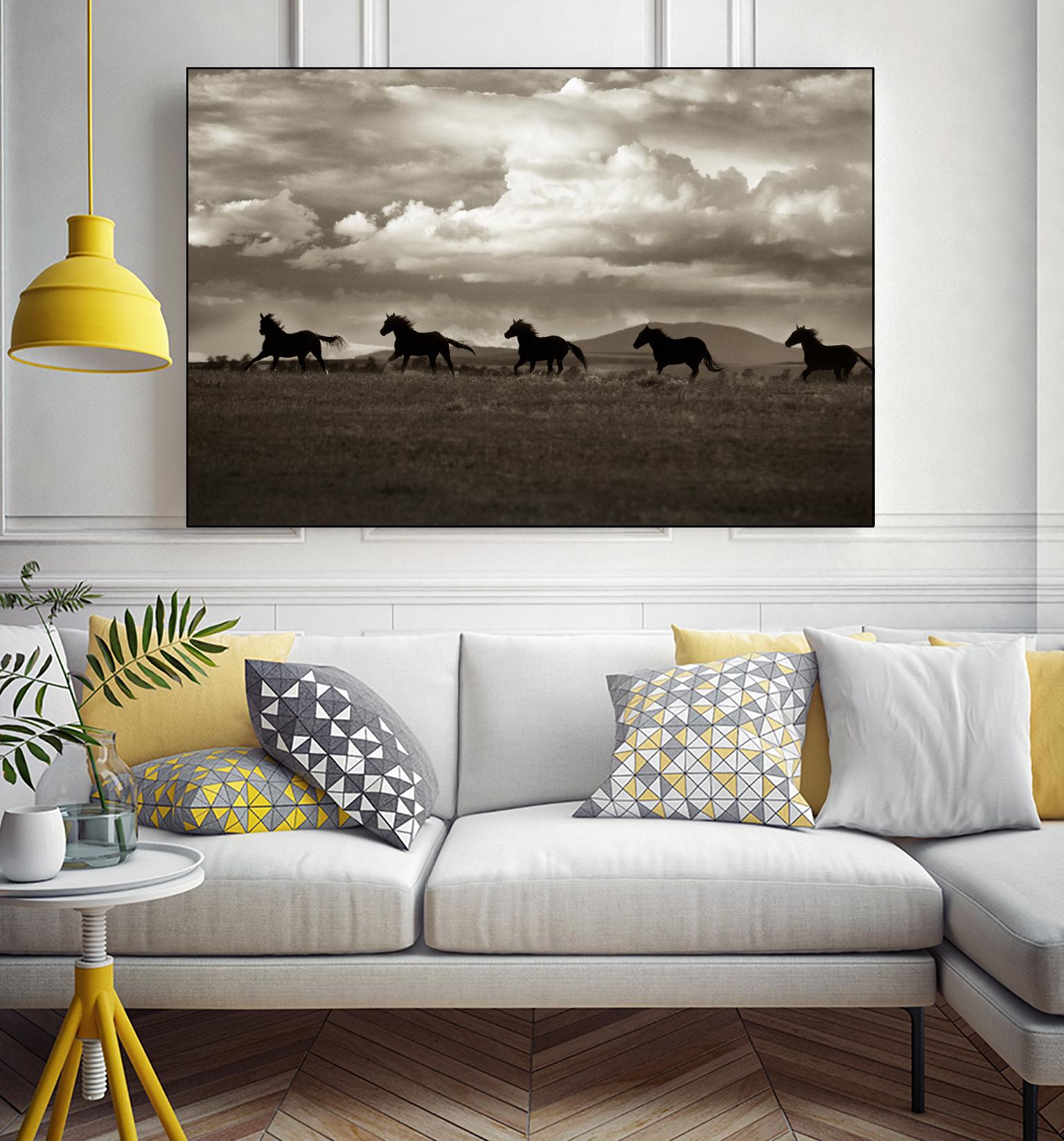 Racing the Clouds by Lisa Dearing on GIANT ART - multicolor photography; animals