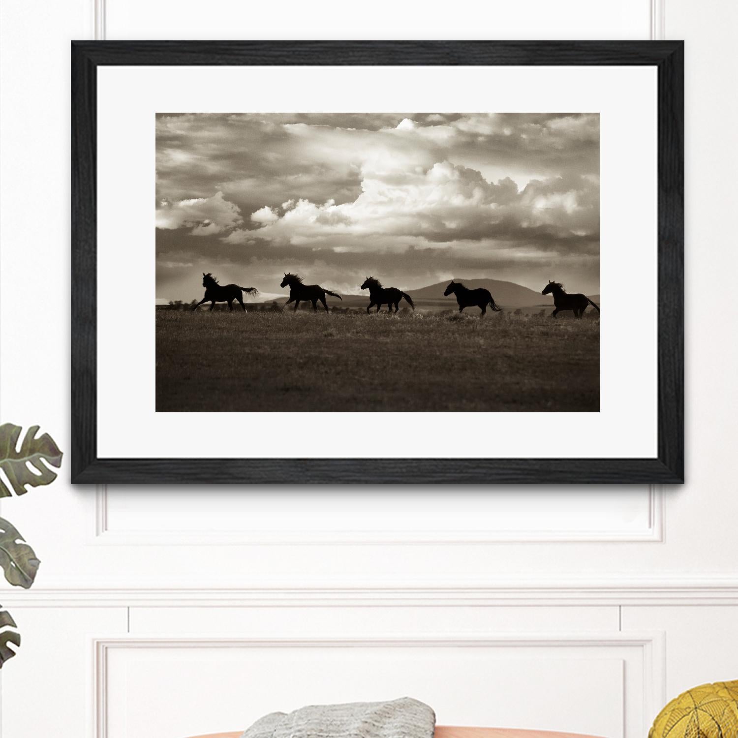 Racing the Clouds by Lisa Dearing on GIANT ART - multicolor photography; animals