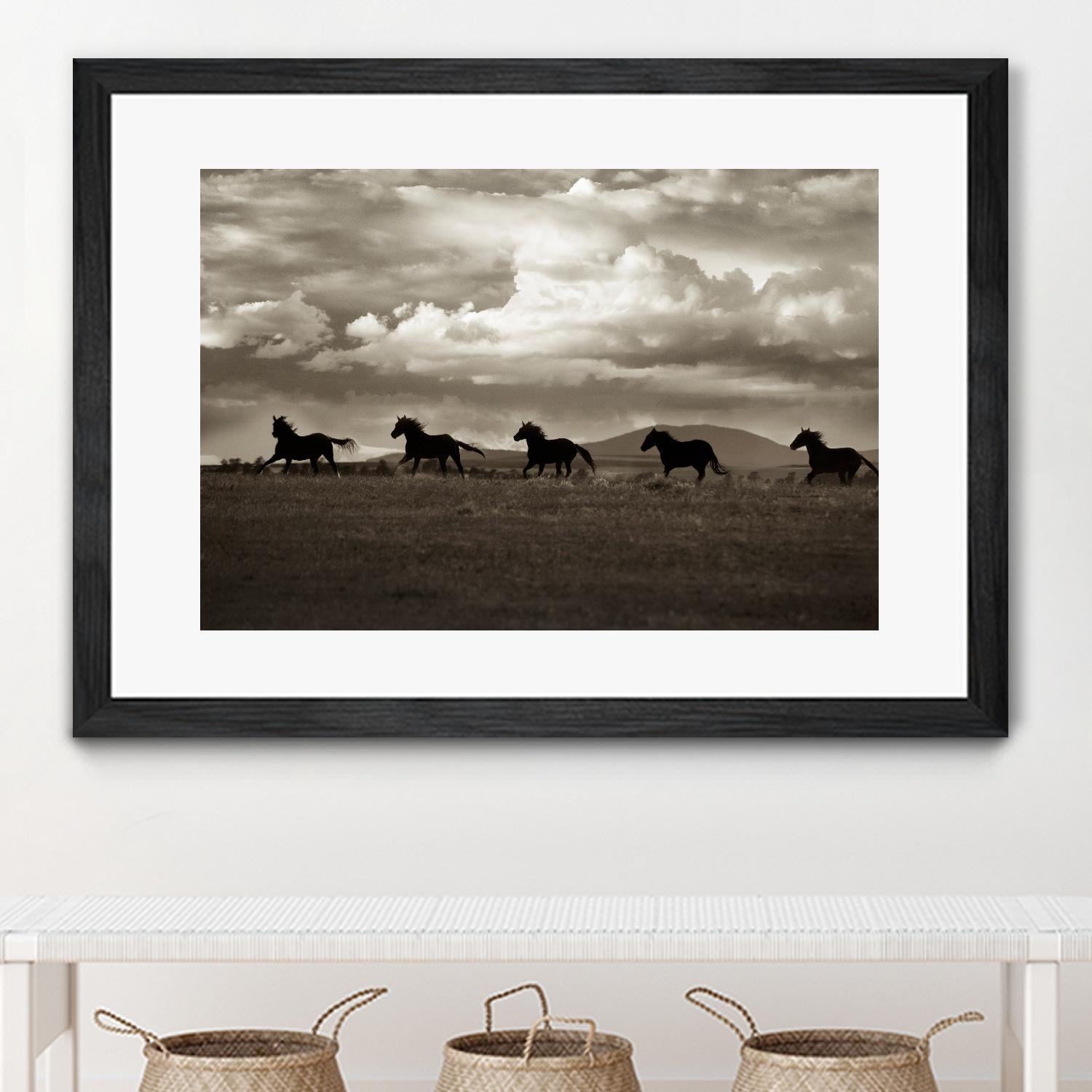 Racing the Clouds by Lisa Dearing on GIANT ART - multicolor photography; animals