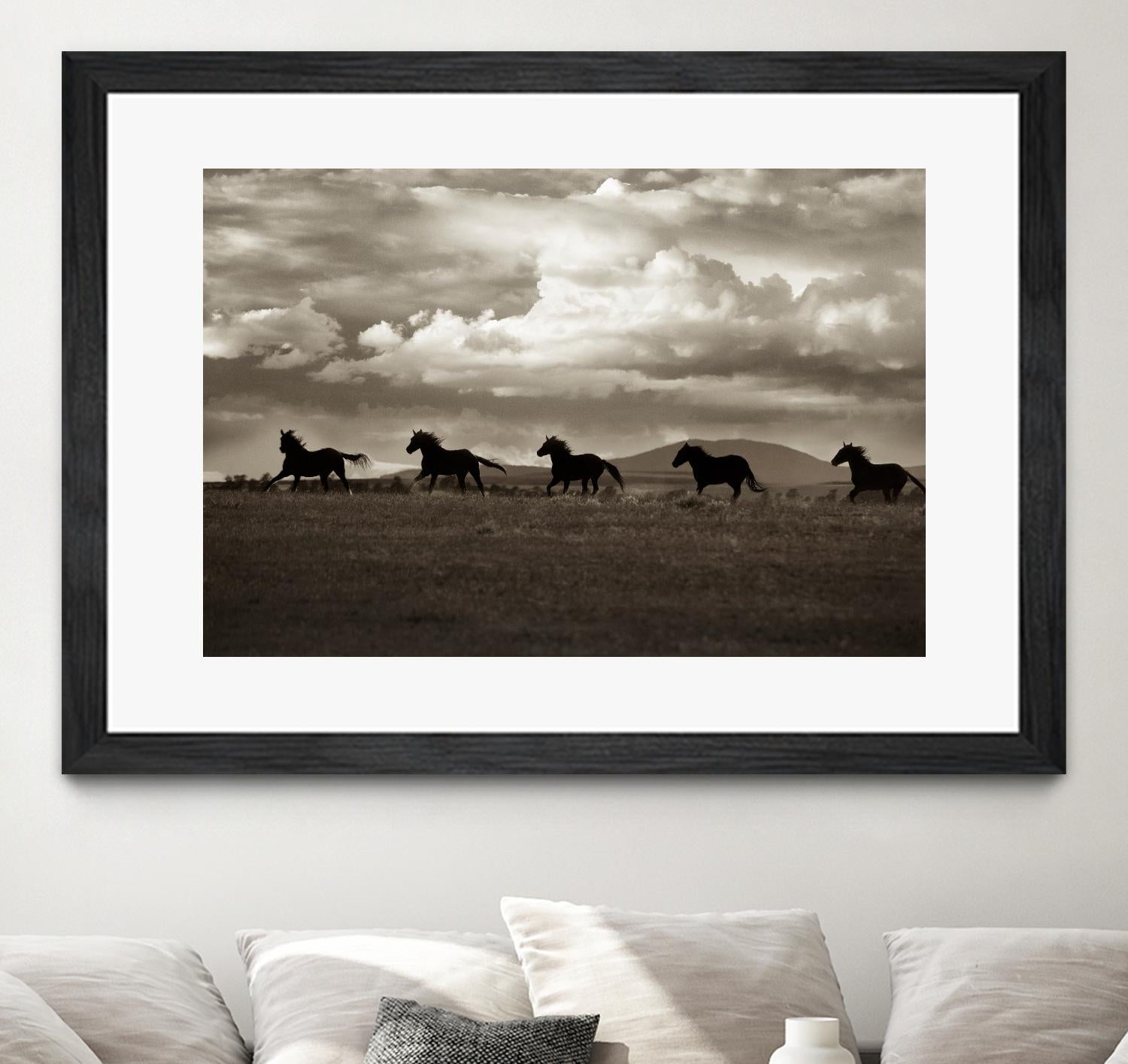 Racing the Clouds by Lisa Dearing on GIANT ART - multicolor photography; animals