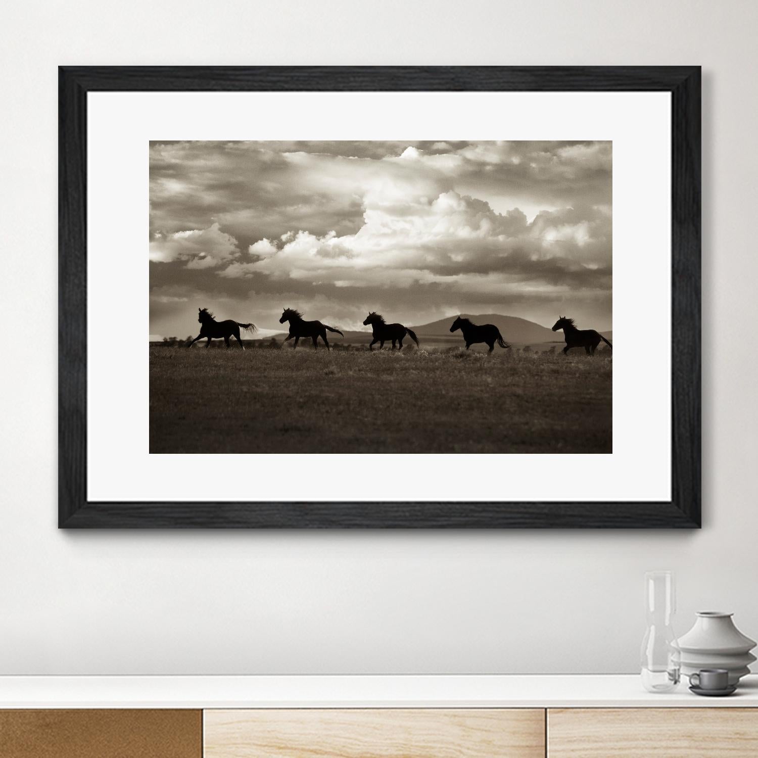 Racing the Clouds by Lisa Dearing on GIANT ART - multicolor photography; animals