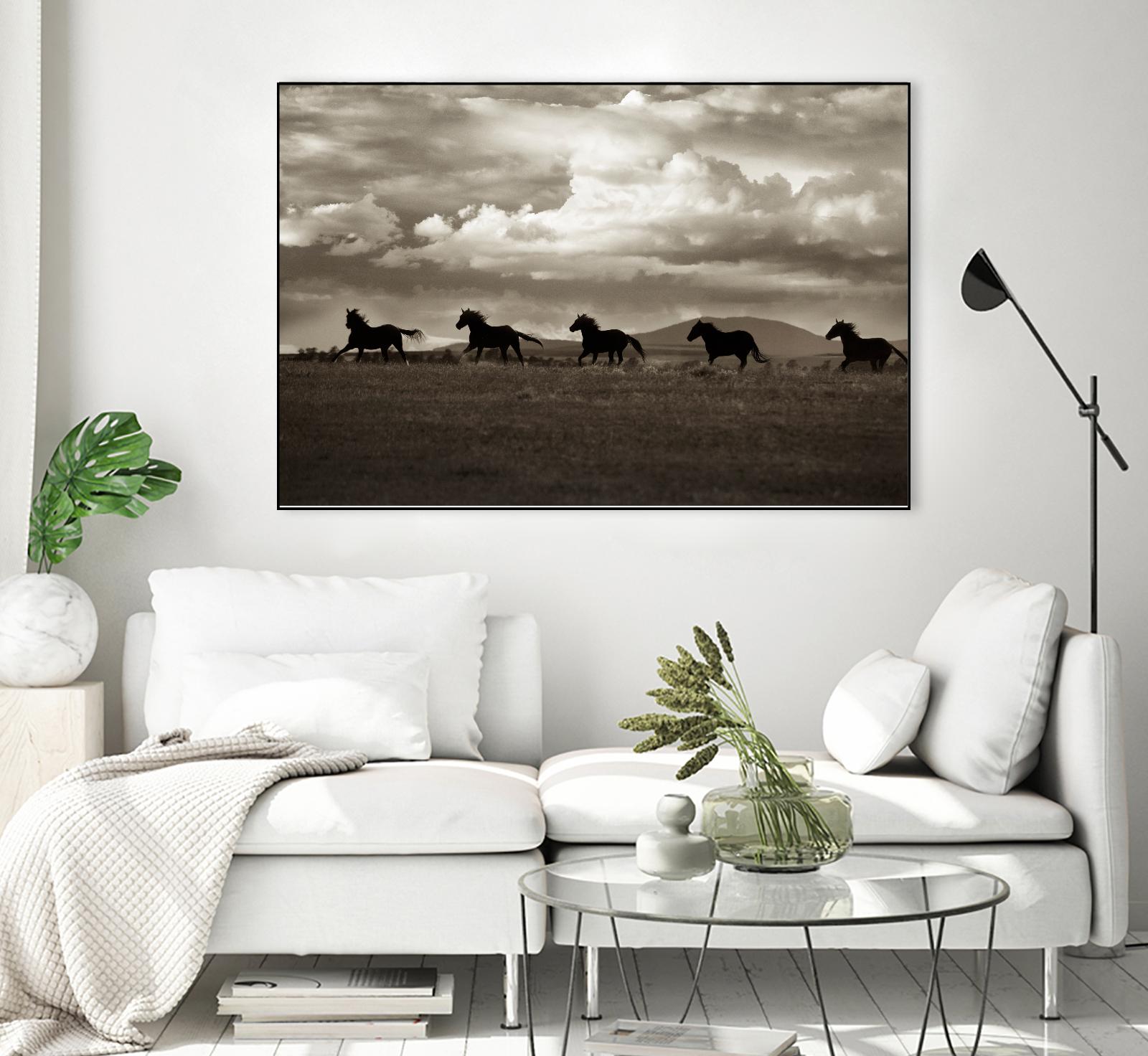 Racing the Clouds by Lisa Dearing on GIANT ART - multicolor photography; animals