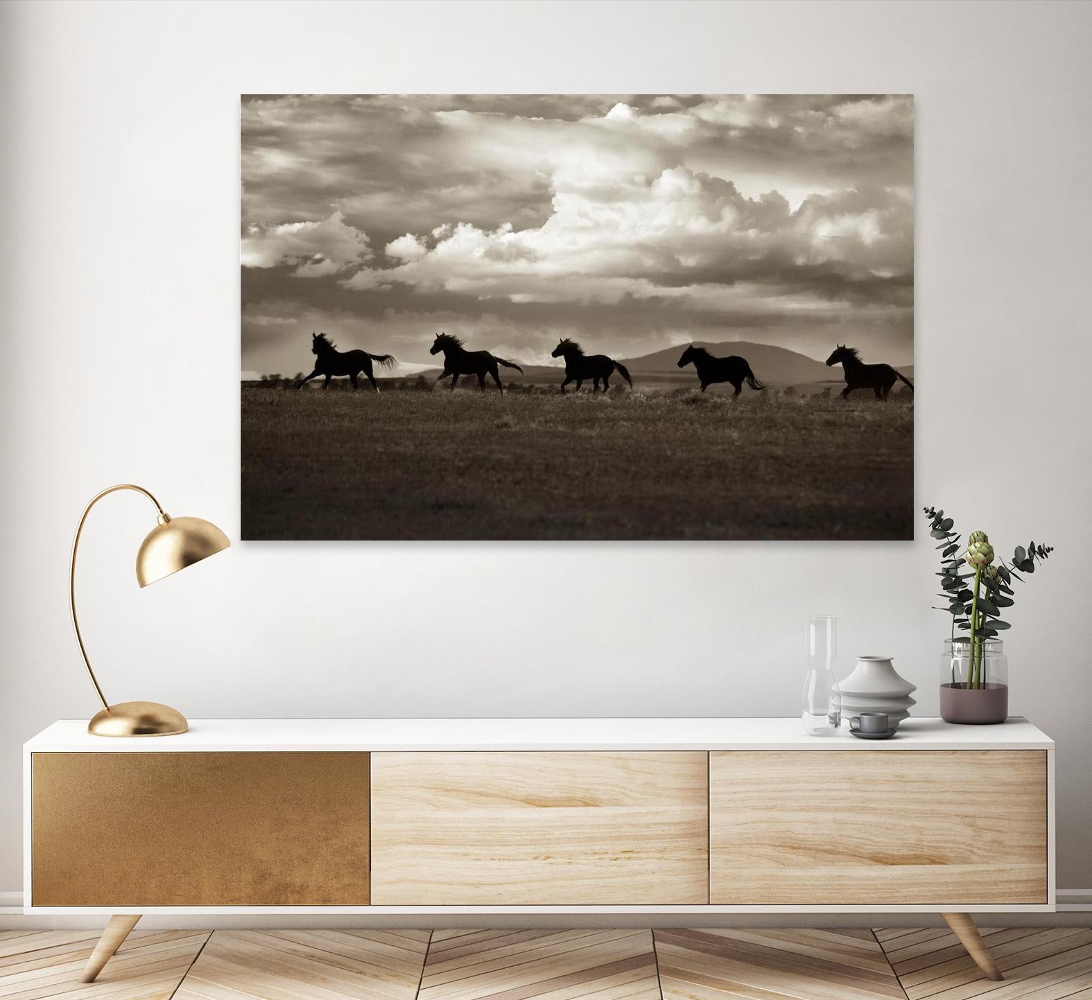 Racing the Clouds by Lisa Dearing on GIANT ART - multicolor photography; animals