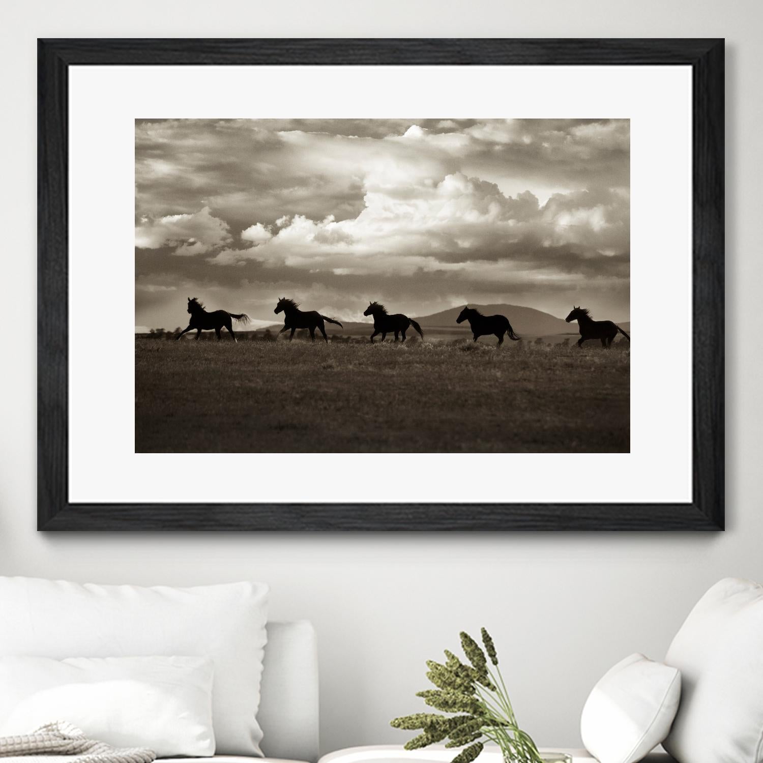 Racing the Clouds by Lisa Dearing on GIANT ART - multicolor photography; animals