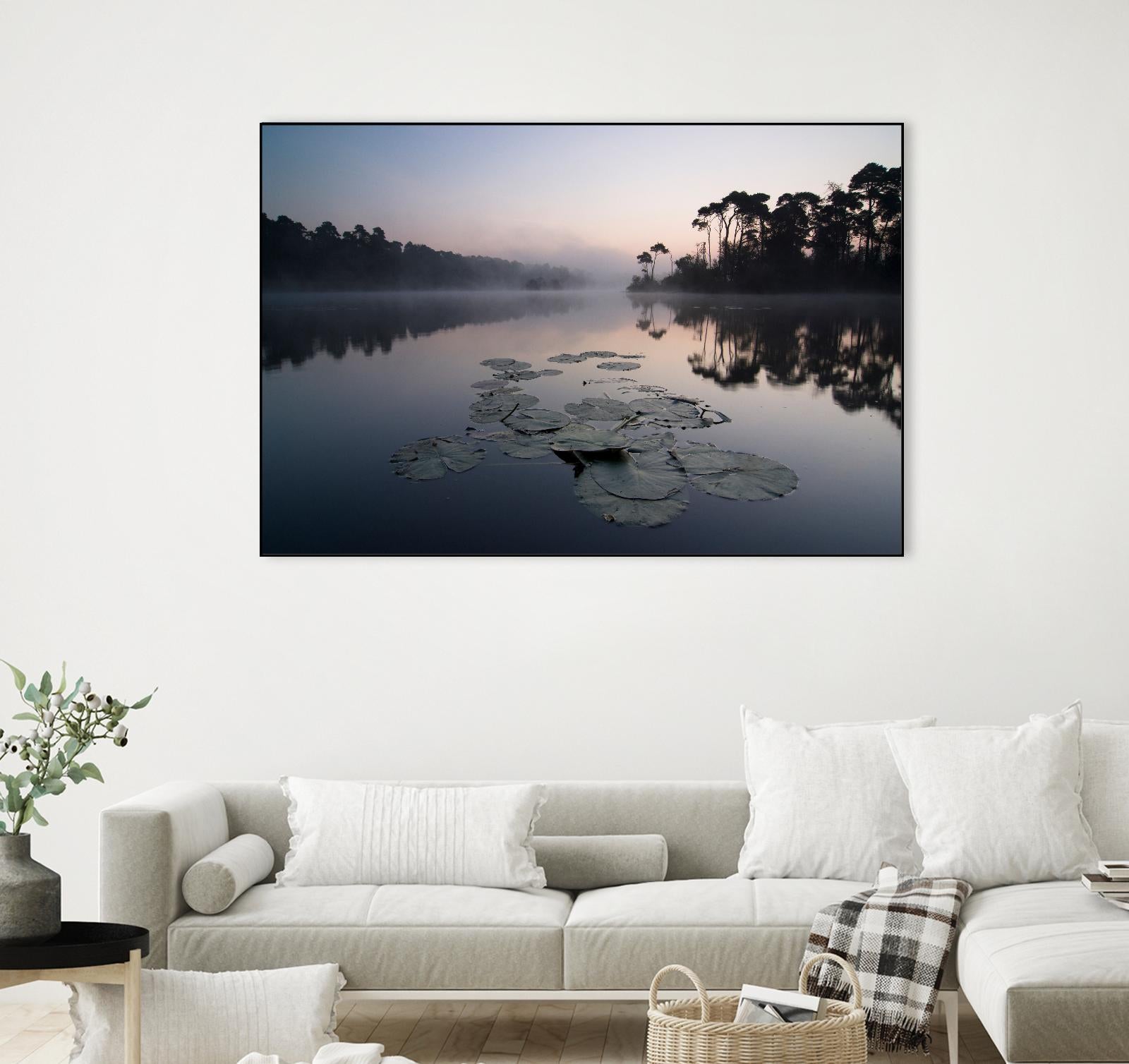 Oisterwijkse Vennen by Wilco Dragt on GIANT ART - multicolor photography; landscapes