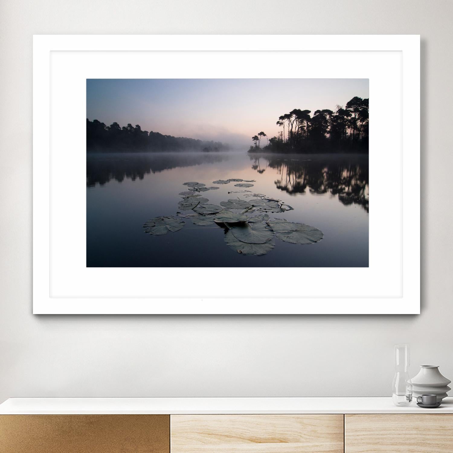 Oisterwijkse Vennen by Wilco Dragt on GIANT ART - multicolor photography; landscapes