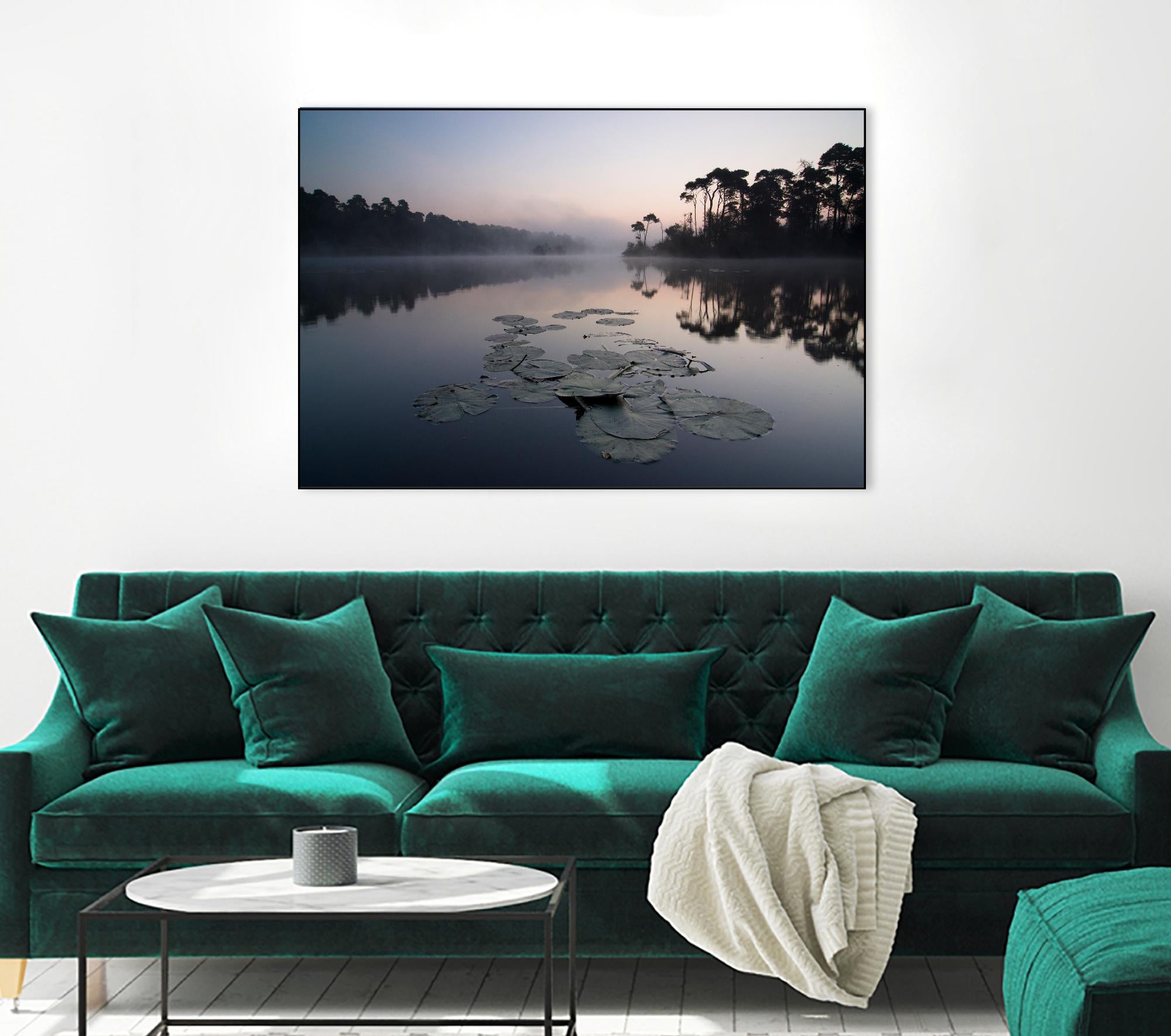 Oisterwijkse Vennen by Wilco Dragt on GIANT ART - multicolor photography; landscapes