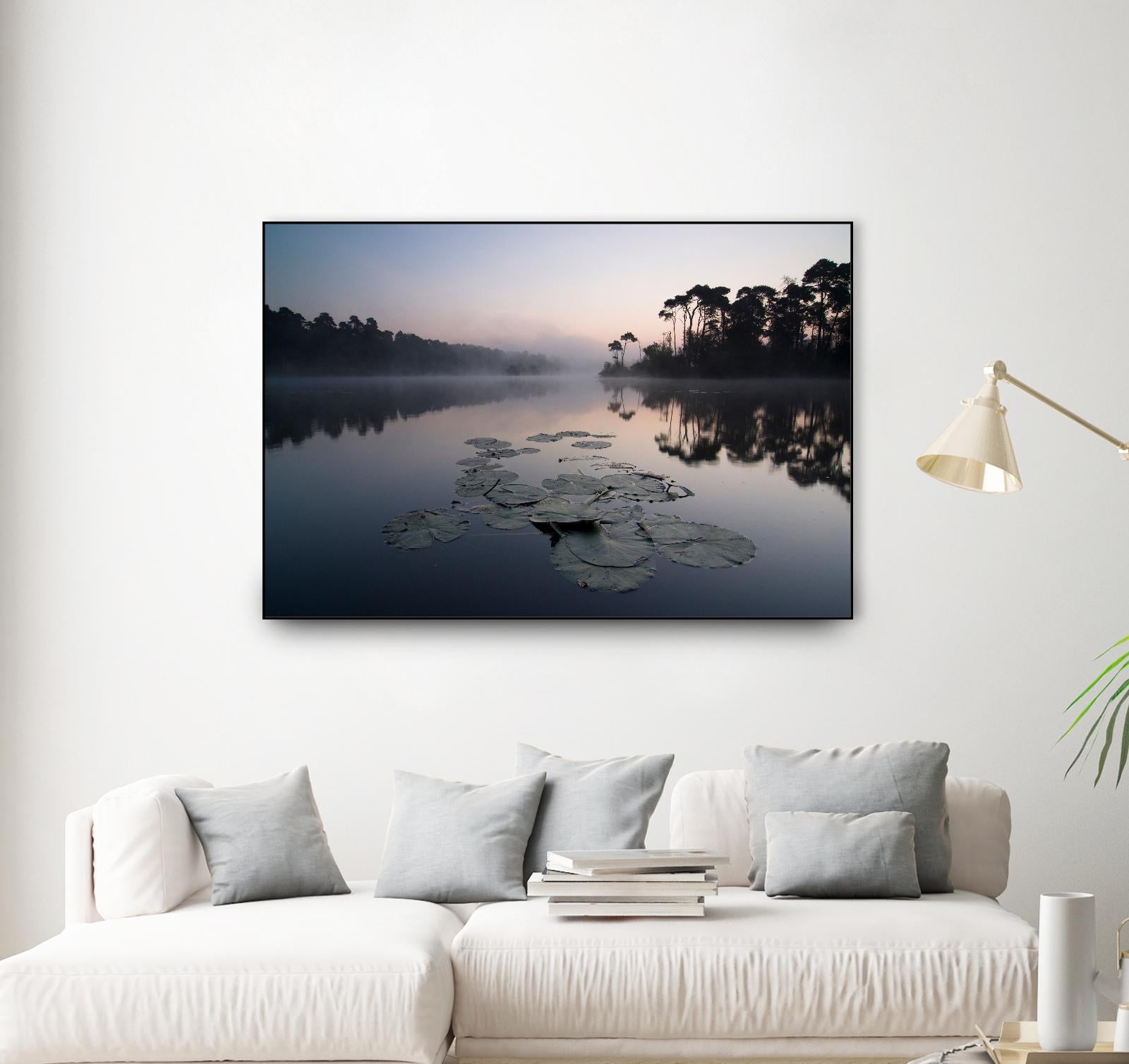 Oisterwijkse Vennen by Wilco Dragt on GIANT ART - multicolor photography; landscapes