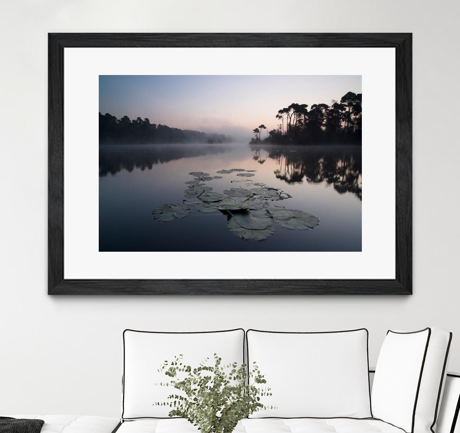 Oisterwijkse Vennen by Wilco Dragt on GIANT ART - multicolor photography; landscapes