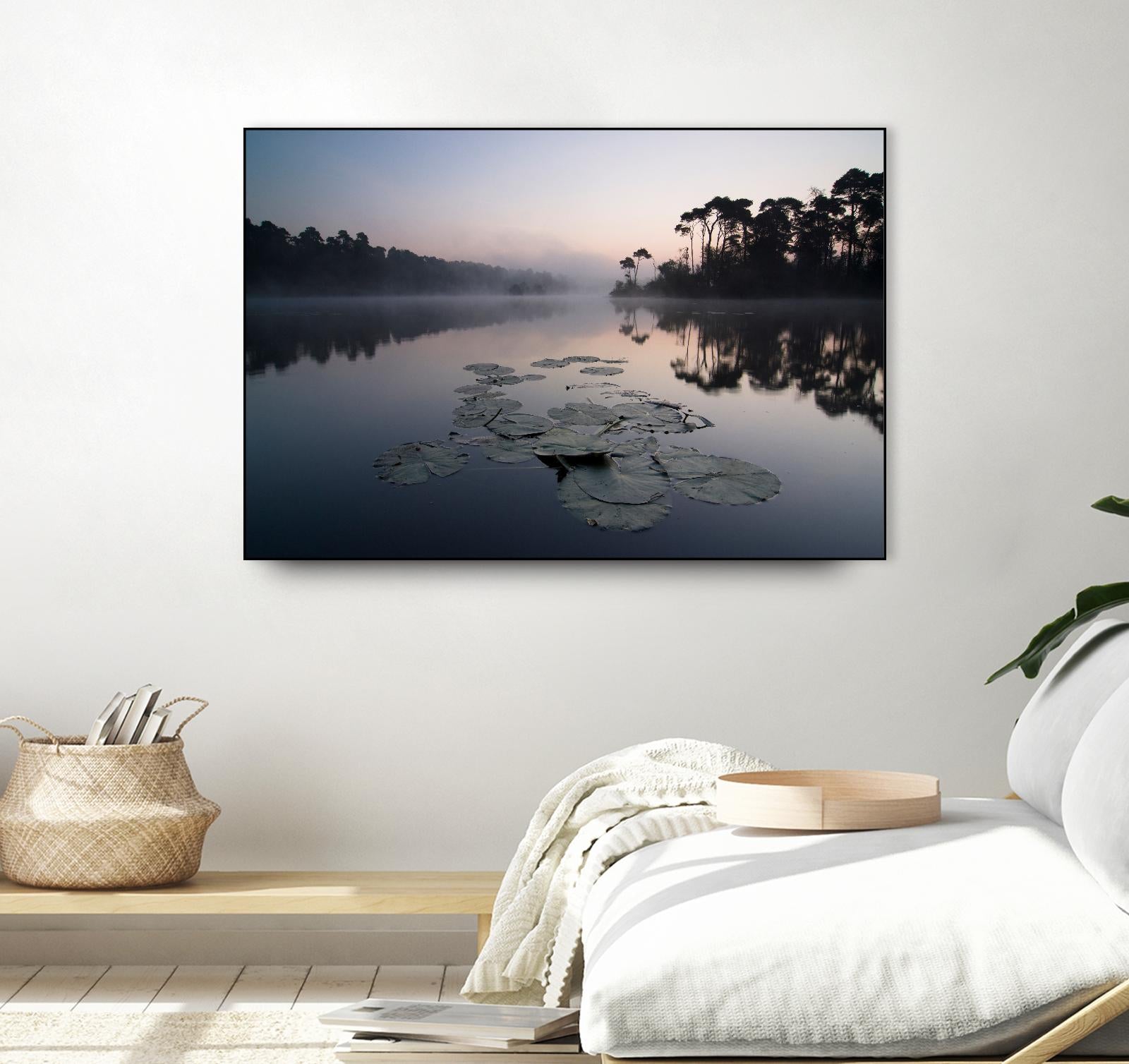 Oisterwijkse Vennen by Wilco Dragt on GIANT ART - multicolor photography; landscapes