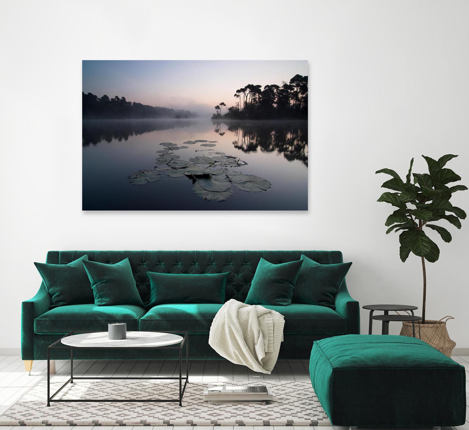 Oisterwijkse Vennen by Wilco Dragt on GIANT ART - multicolor photography; landscapes