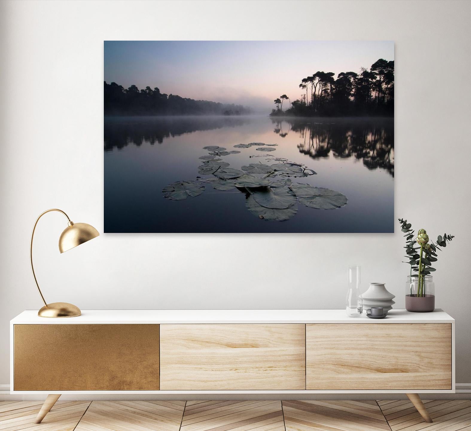 Oisterwijkse Vennen by Wilco Dragt on GIANT ART - multicolor photography; landscapes