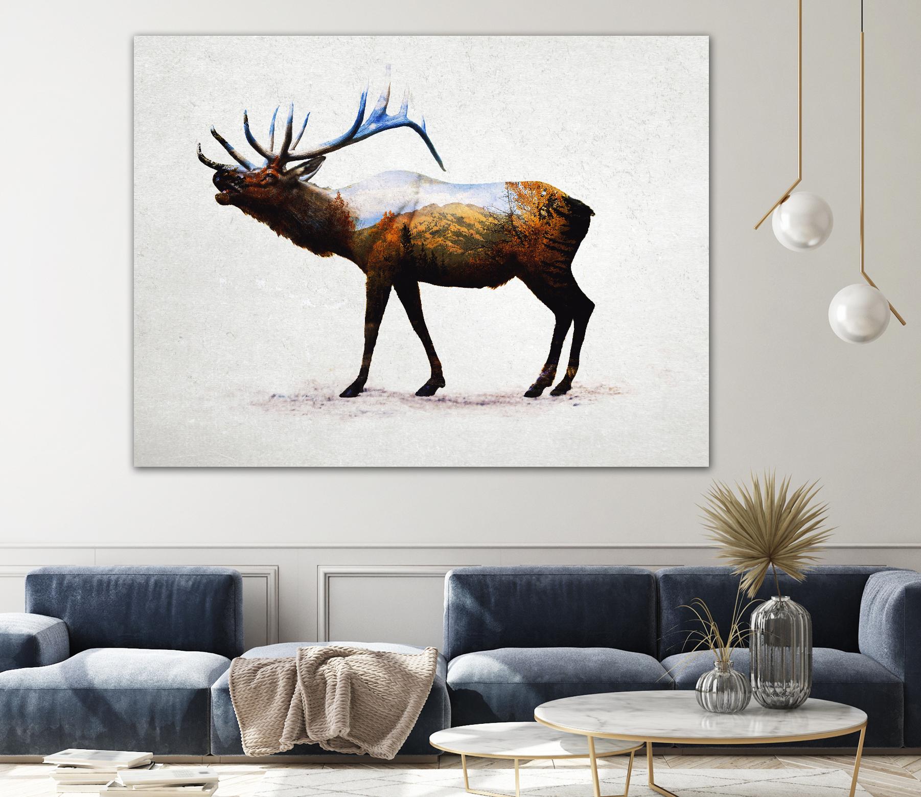 Rocky Mountain Elk by Davies Babies on GIANT ART - white animals