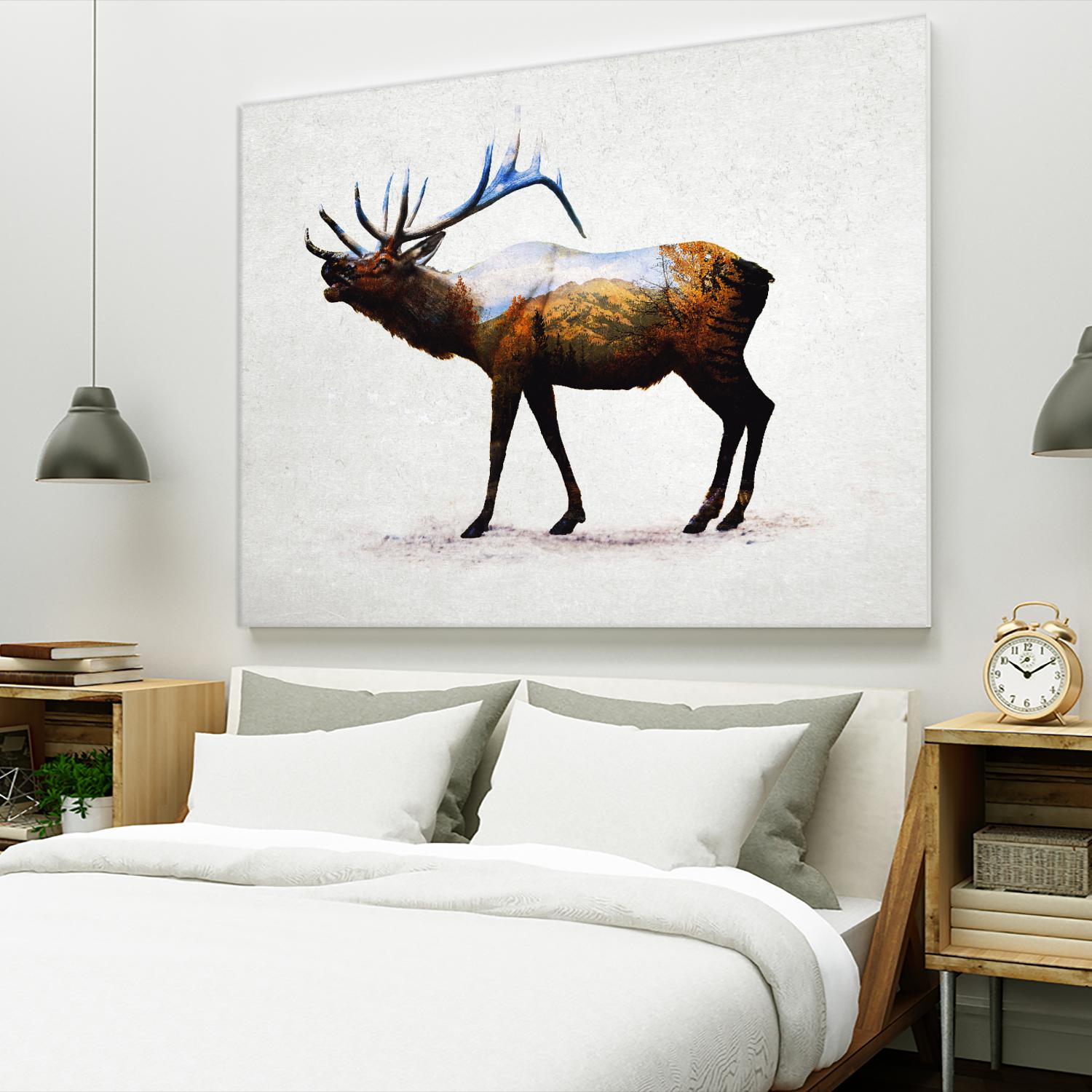 Rocky Mountain Elk by Davies Babies on GIANT ART - white animals