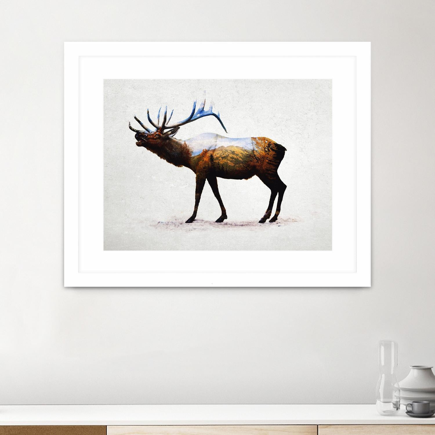 Rocky Mountain Elk by Davies Babies on GIANT ART - white animals