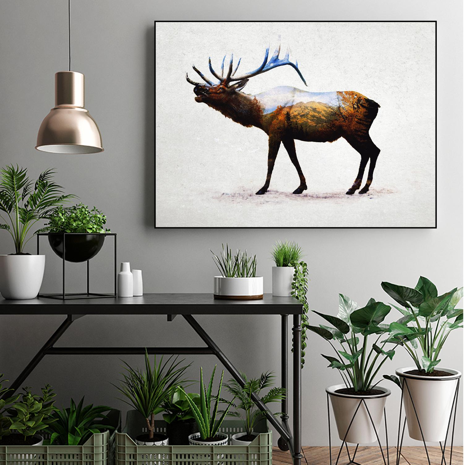 Rocky Mountain Elk by Davies Babies on GIANT ART - white animals