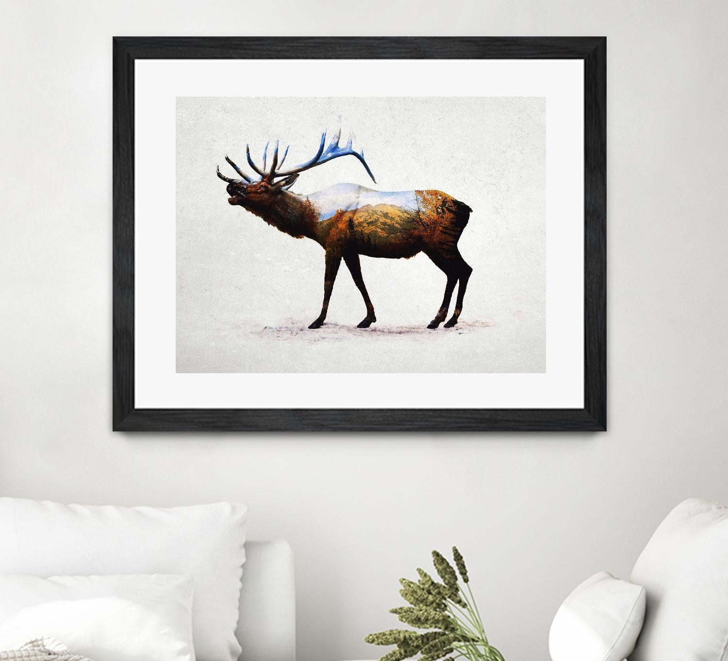Rocky Mountain Elk by Davies Babies on GIANT ART - white animals