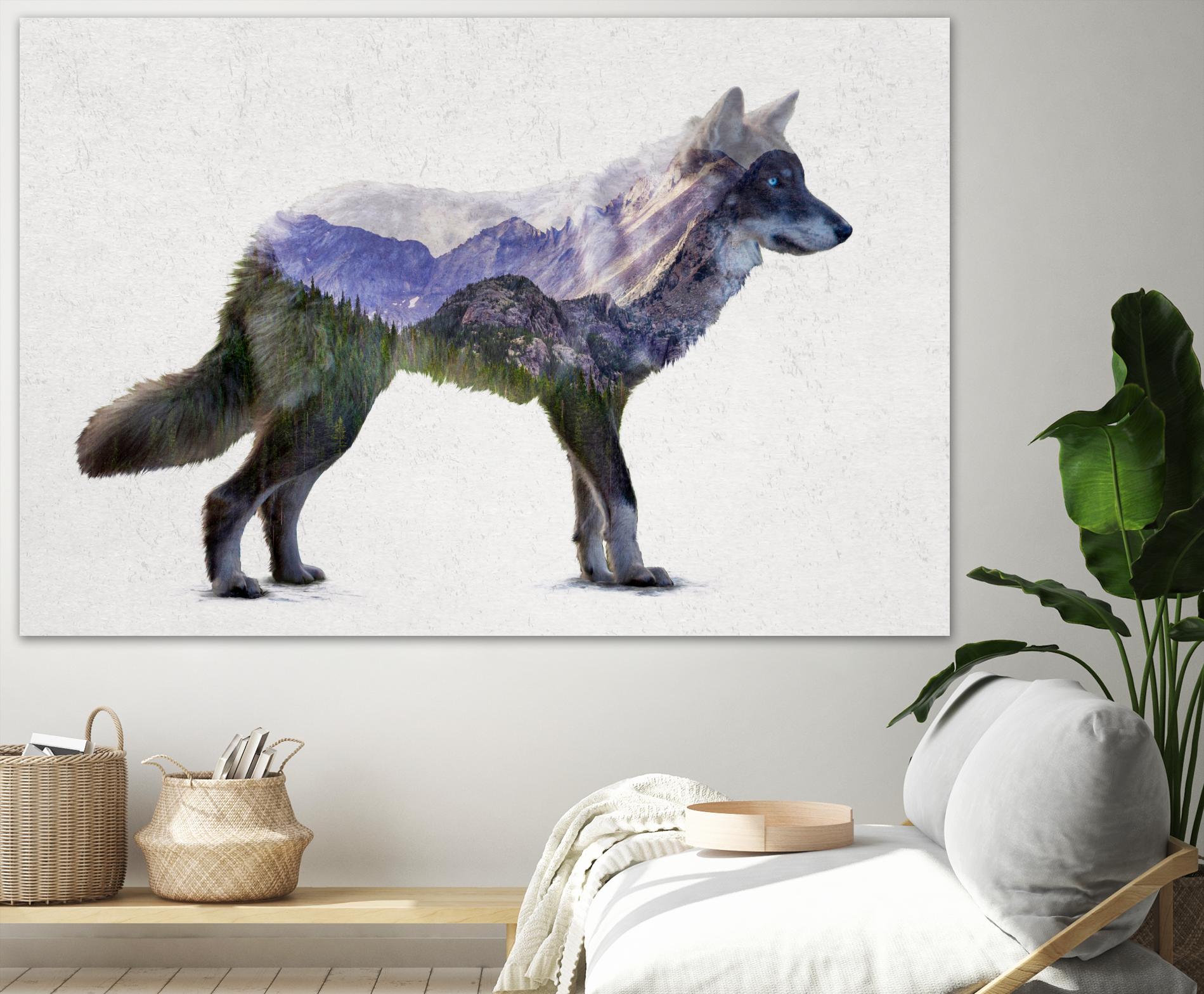 Rocky Mountain Grey Wolf by Davies Babies on GIANT ART - white animals