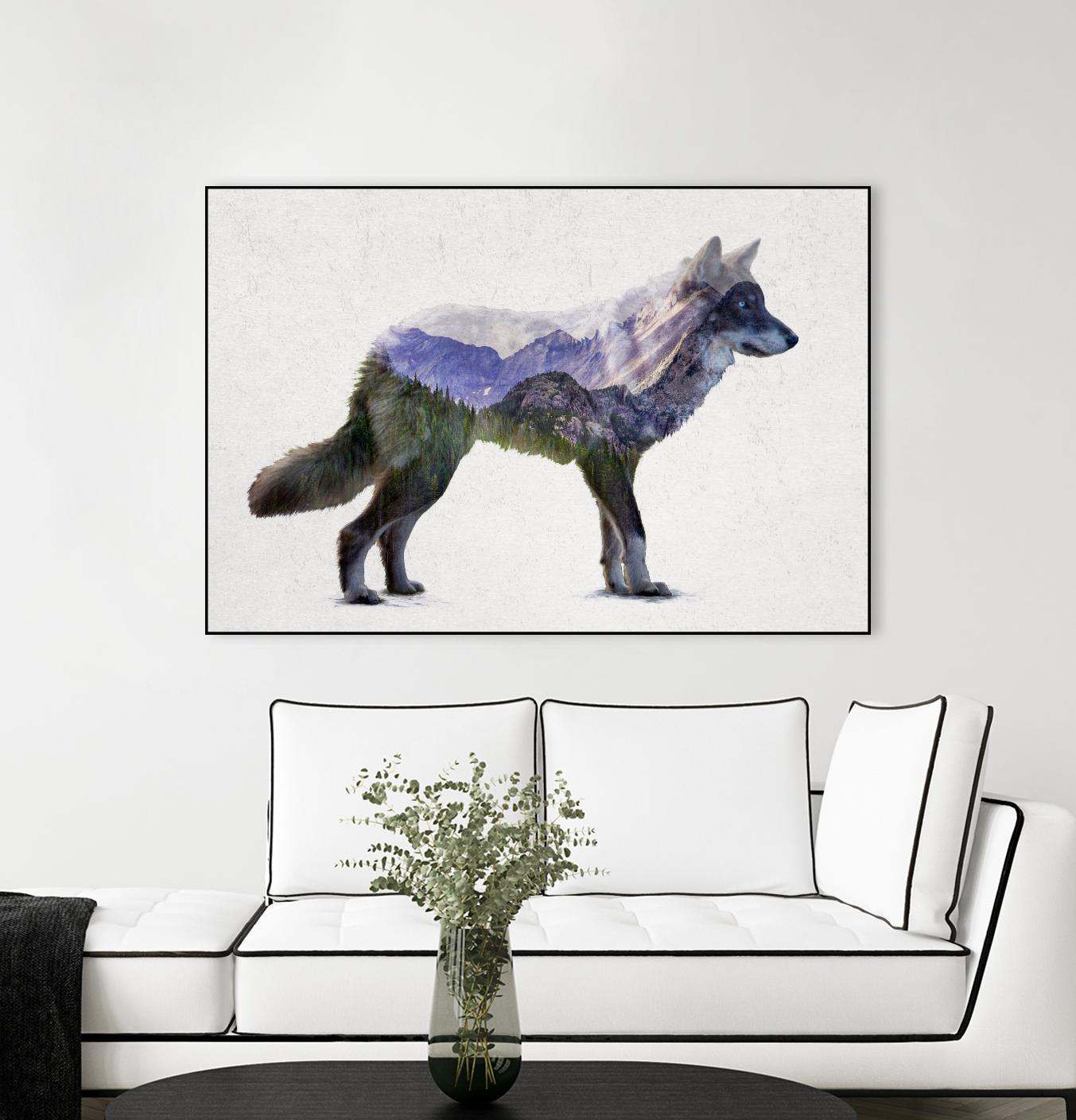 Rocky Mountain Grey Wolf by Davies Babies on GIANT ART - white animals