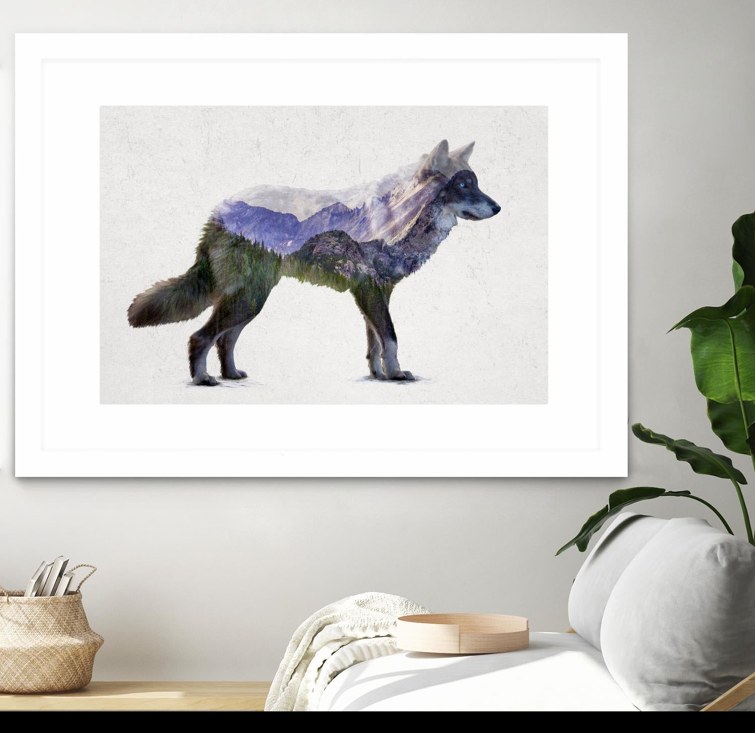 Rocky Mountain Grey Wolf by Davies Babies on GIANT ART - white animals