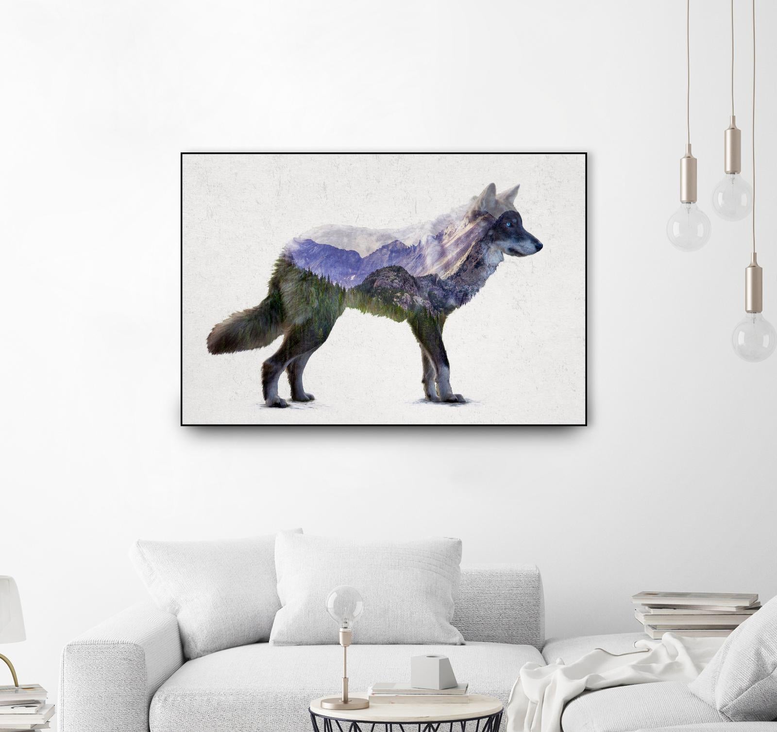 Rocky Mountain Grey Wolf by Davies Babies on GIANT ART - white animals