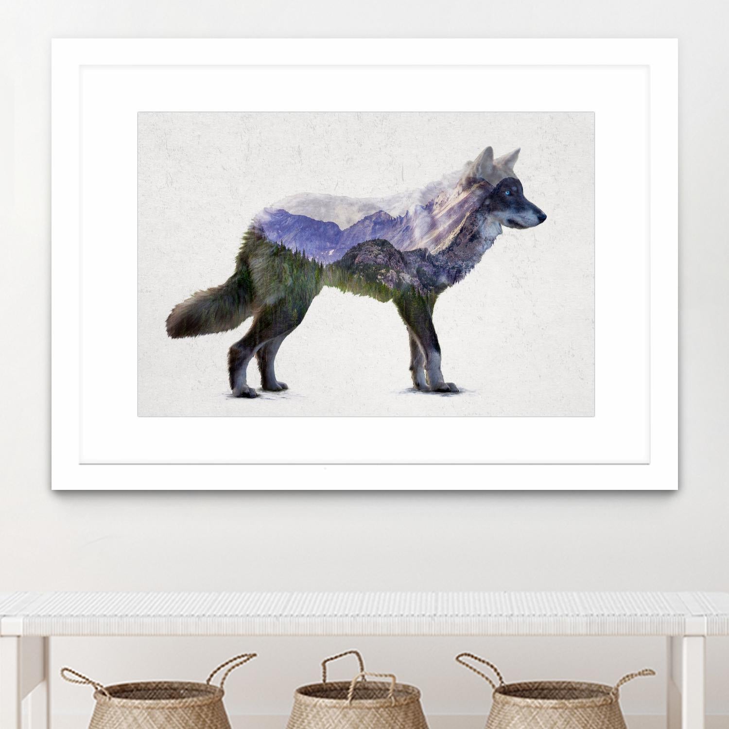 Rocky Mountain Grey Wolf by Davies Babies on GIANT ART - white animals