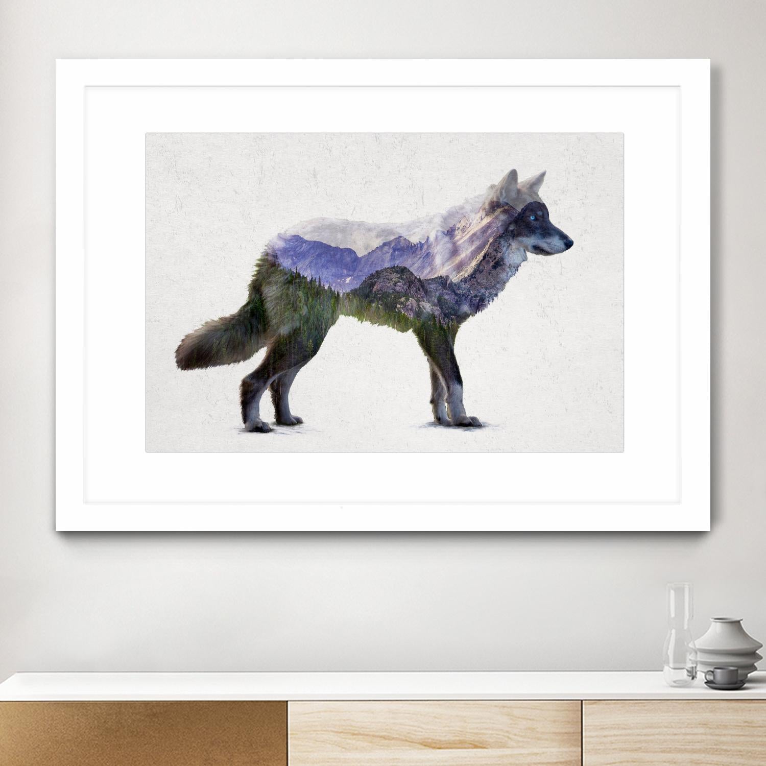 Rocky Mountain Grey Wolf by Davies Babies on GIANT ART - white animals