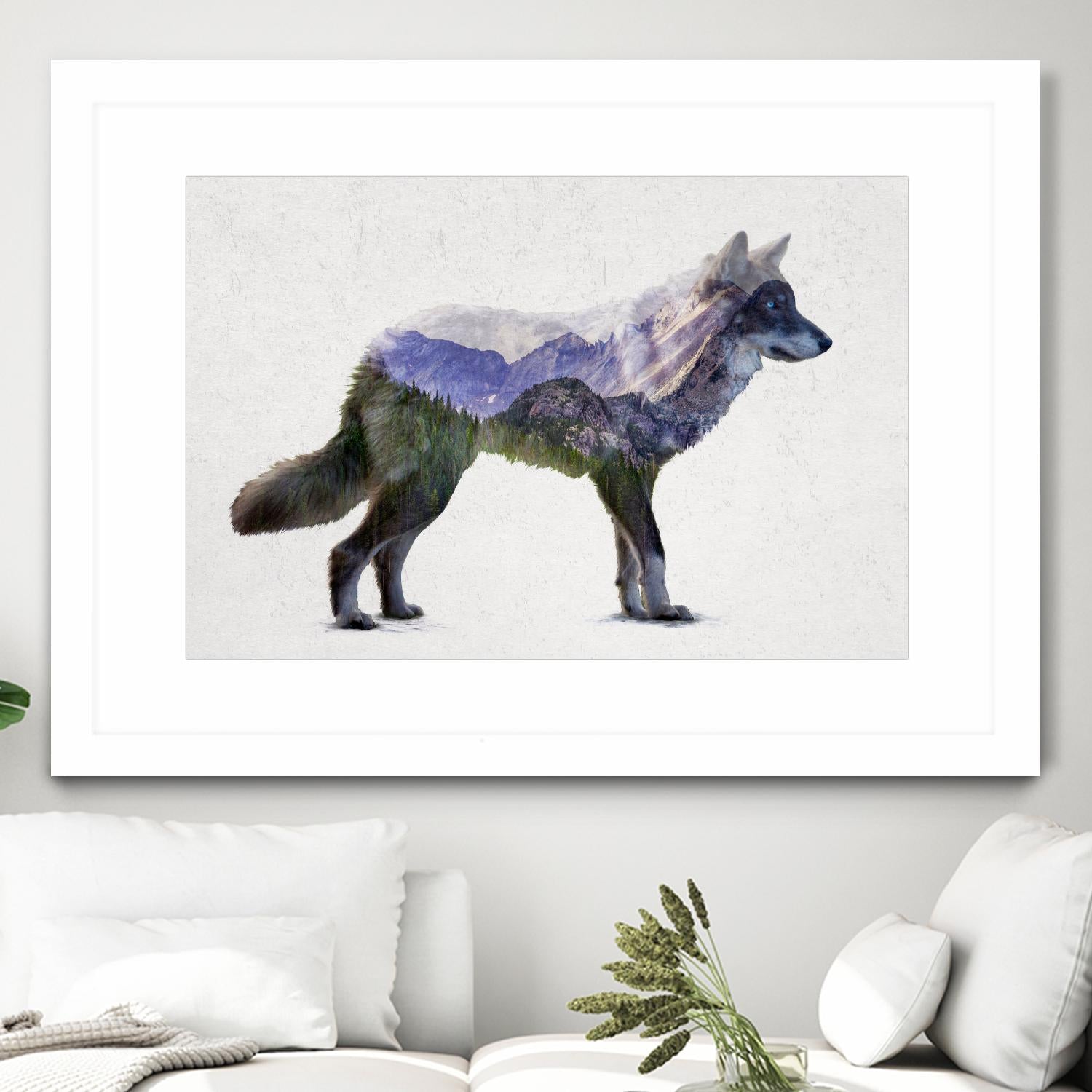 Rocky Mountain Grey Wolf by Davies Babies on GIANT ART - white animals