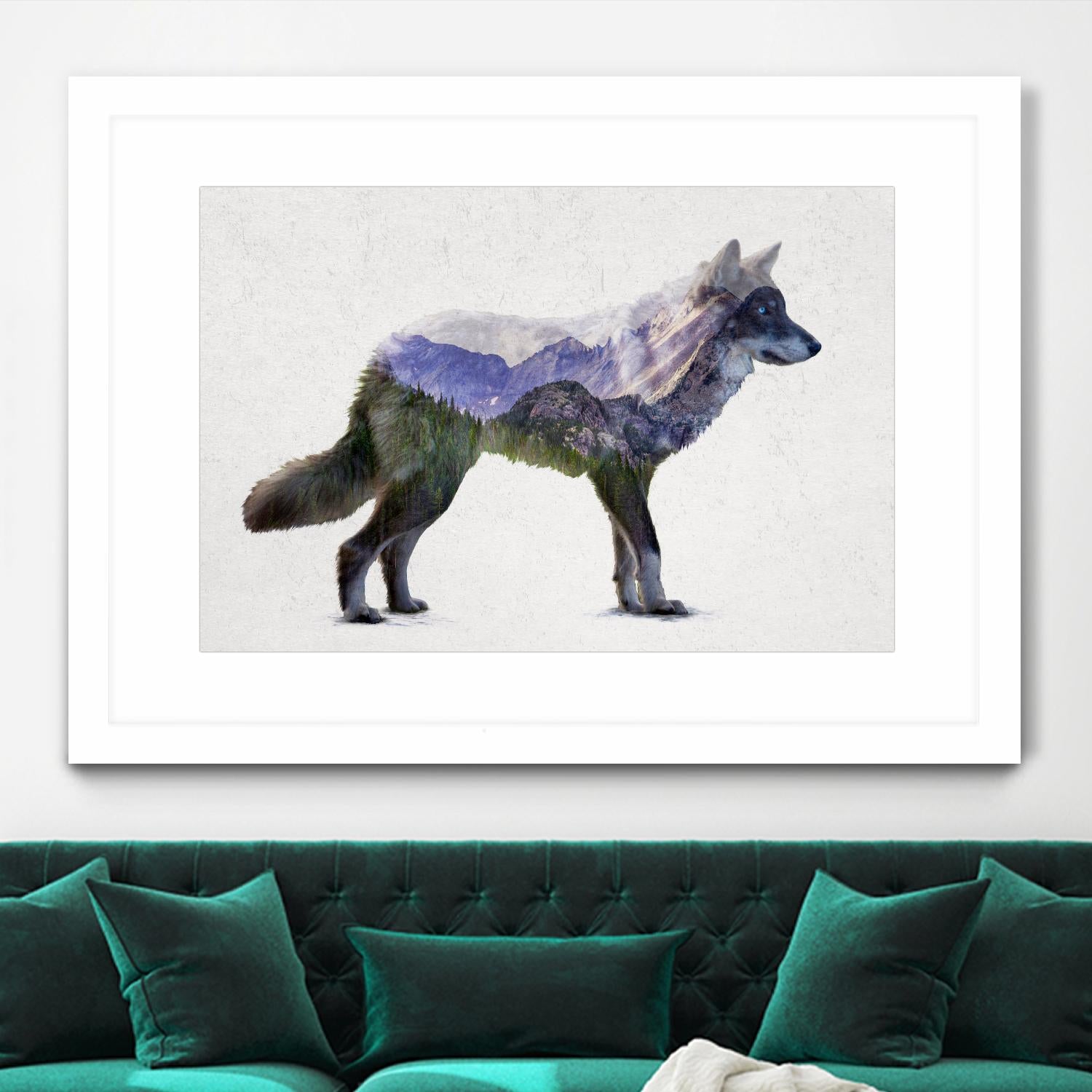 Rocky Mountain Grey Wolf by Davies Babies on GIANT ART - white animals