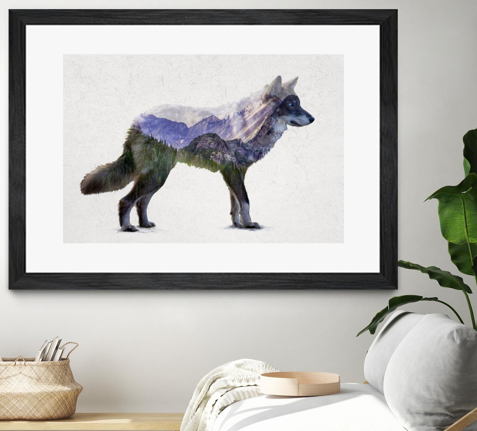 Rocky Mountain Grey Wolf by Davies Babies on GIANT ART - white animals