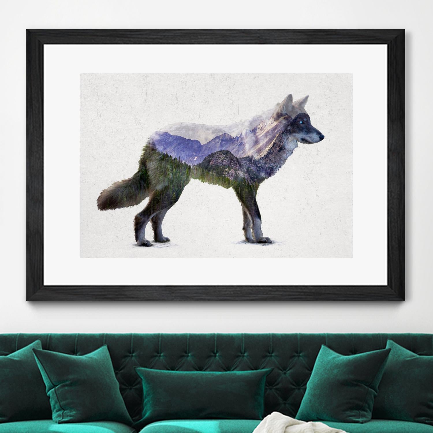 Rocky Mountain Grey Wolf by Davies Babies on GIANT ART - white animals
